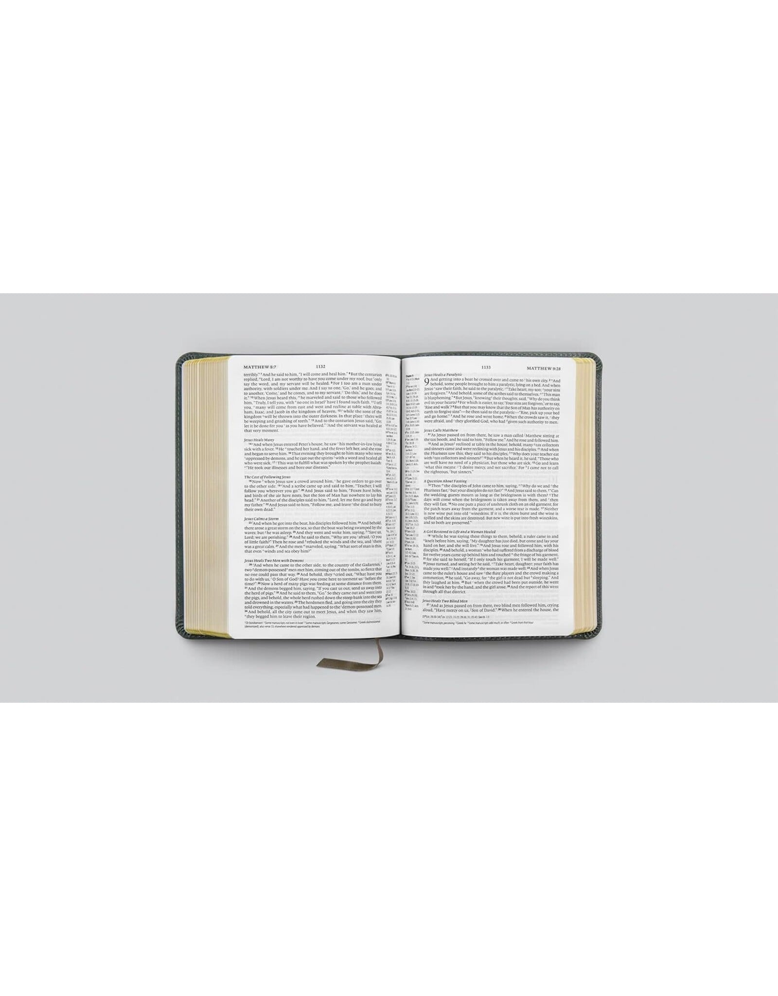 ESV Large Print Value Thinline Bible - Quiet Forest