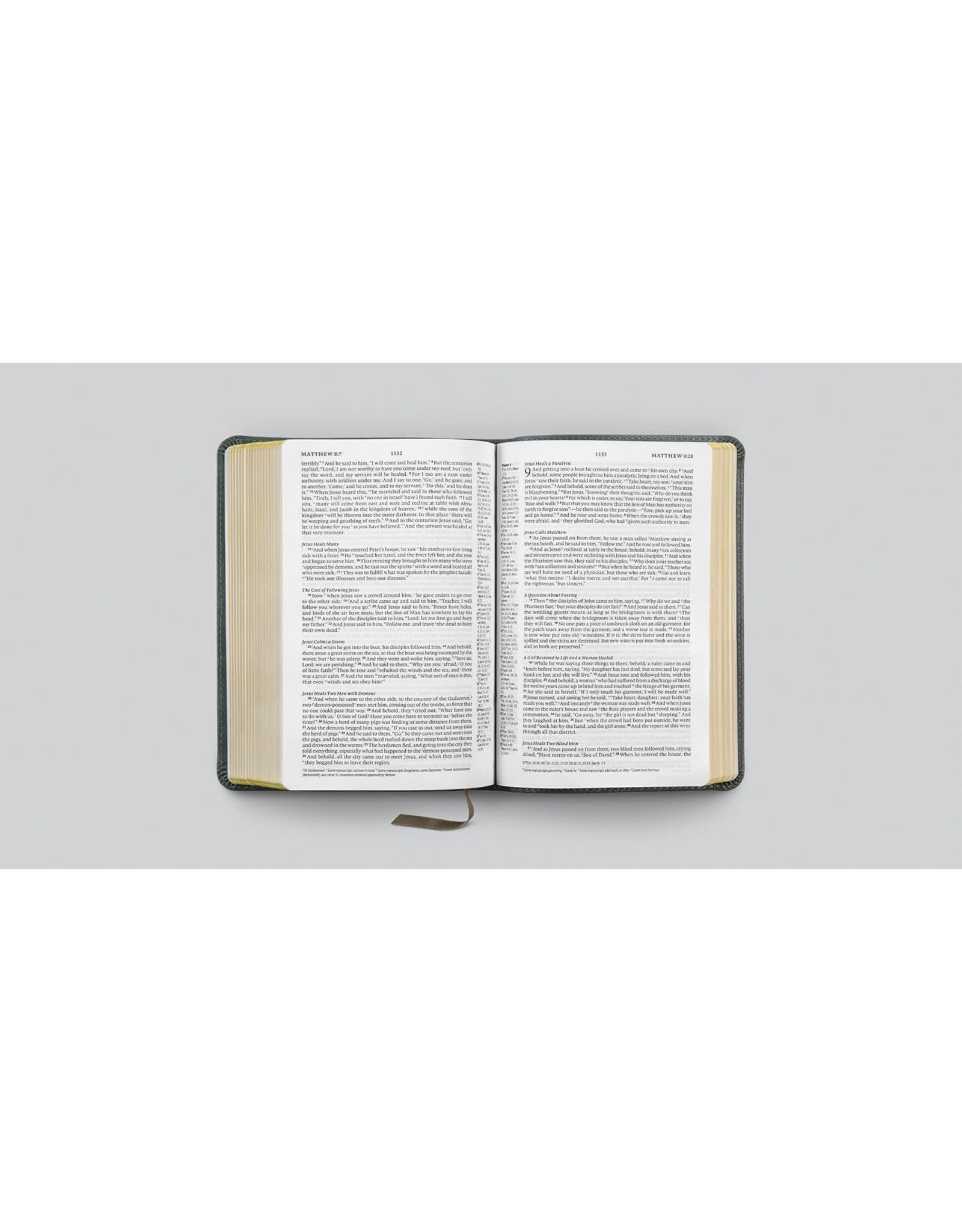 ESV Personal Reference Bible TruTone Quiet Forest