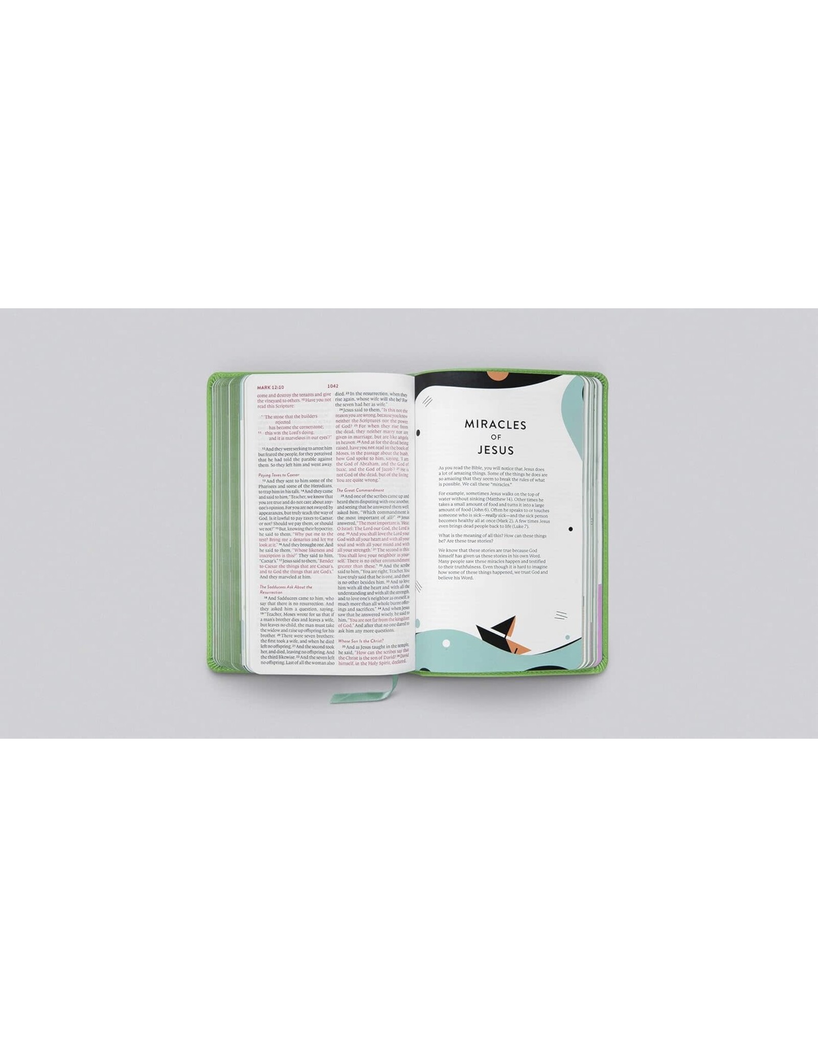 ESV Kids Bible - TruTone Bird of the Air Thinline