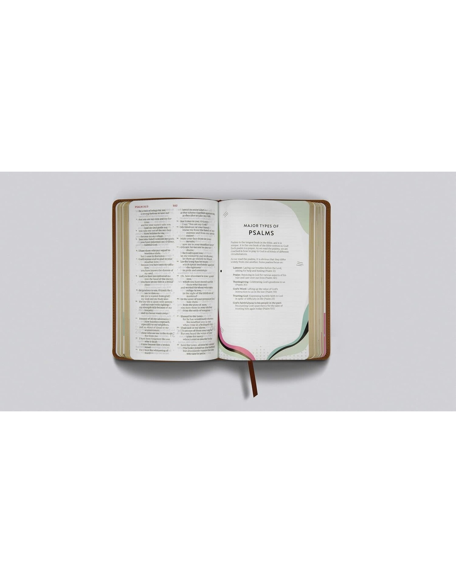 ESV Kids Bible - TruTone Bird of the Air Thinline