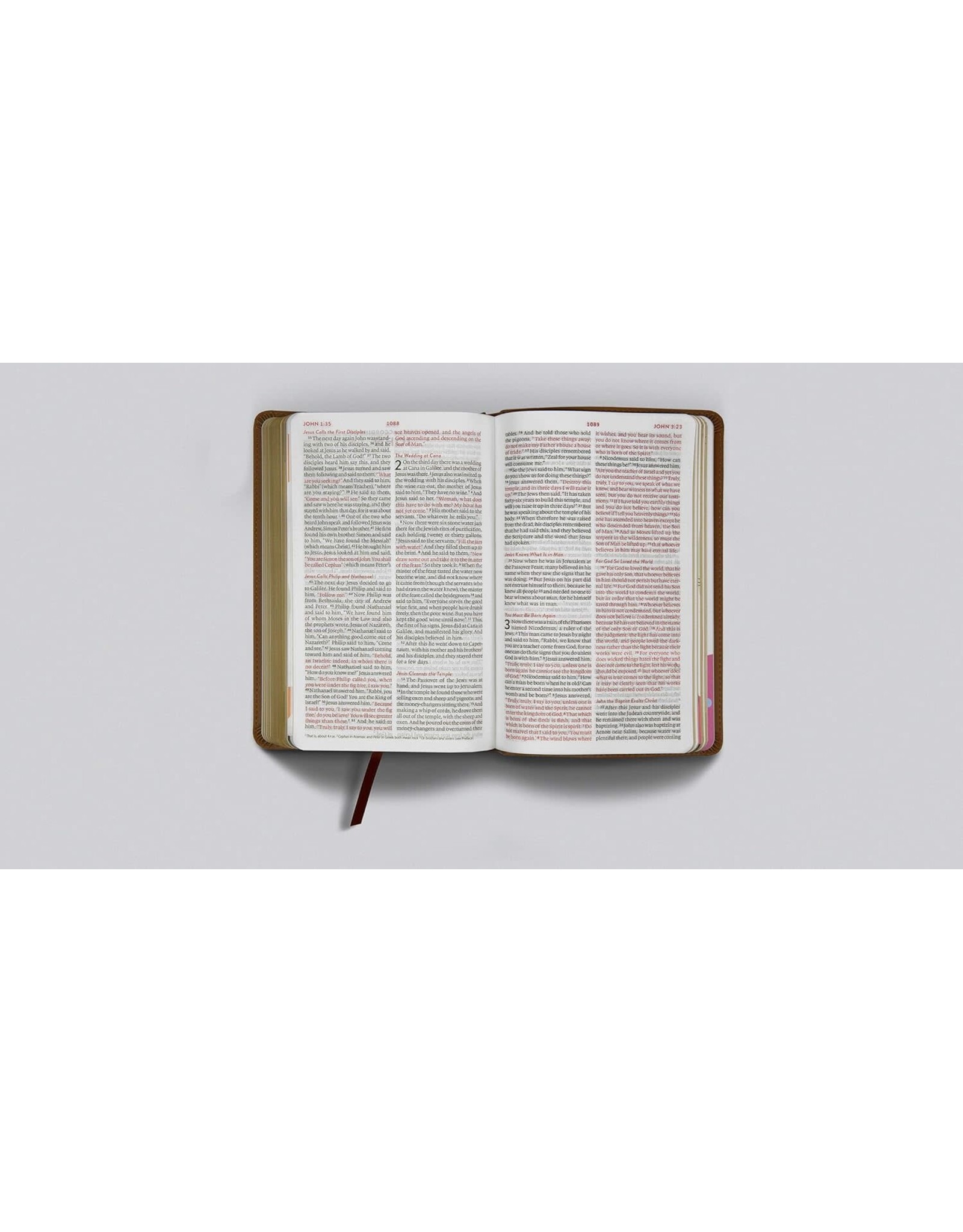 ESV Kids Bible - TruTone Bird of the Air Thinline