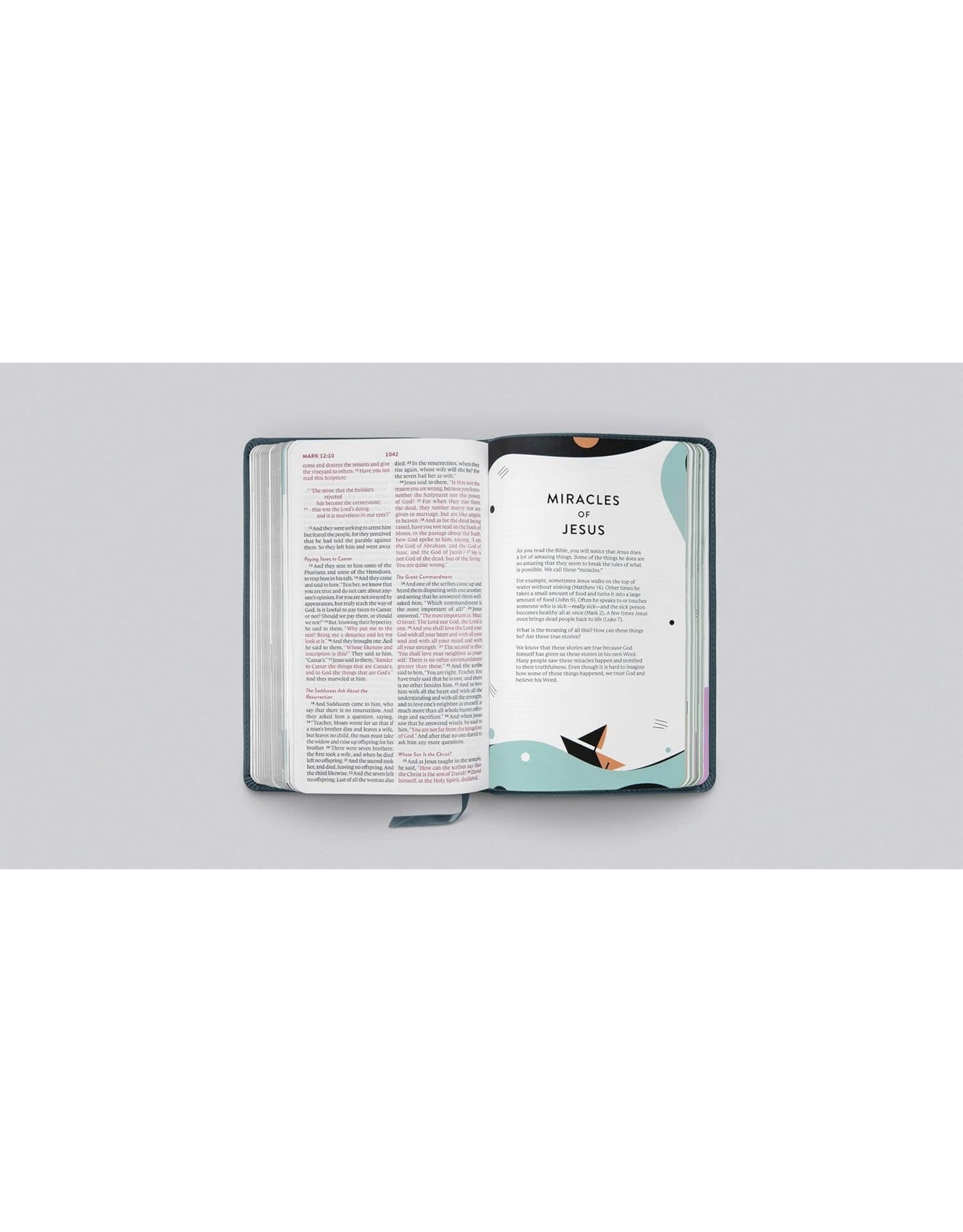 ESV Kids Bible - TruTone Lion of Judah Thinline