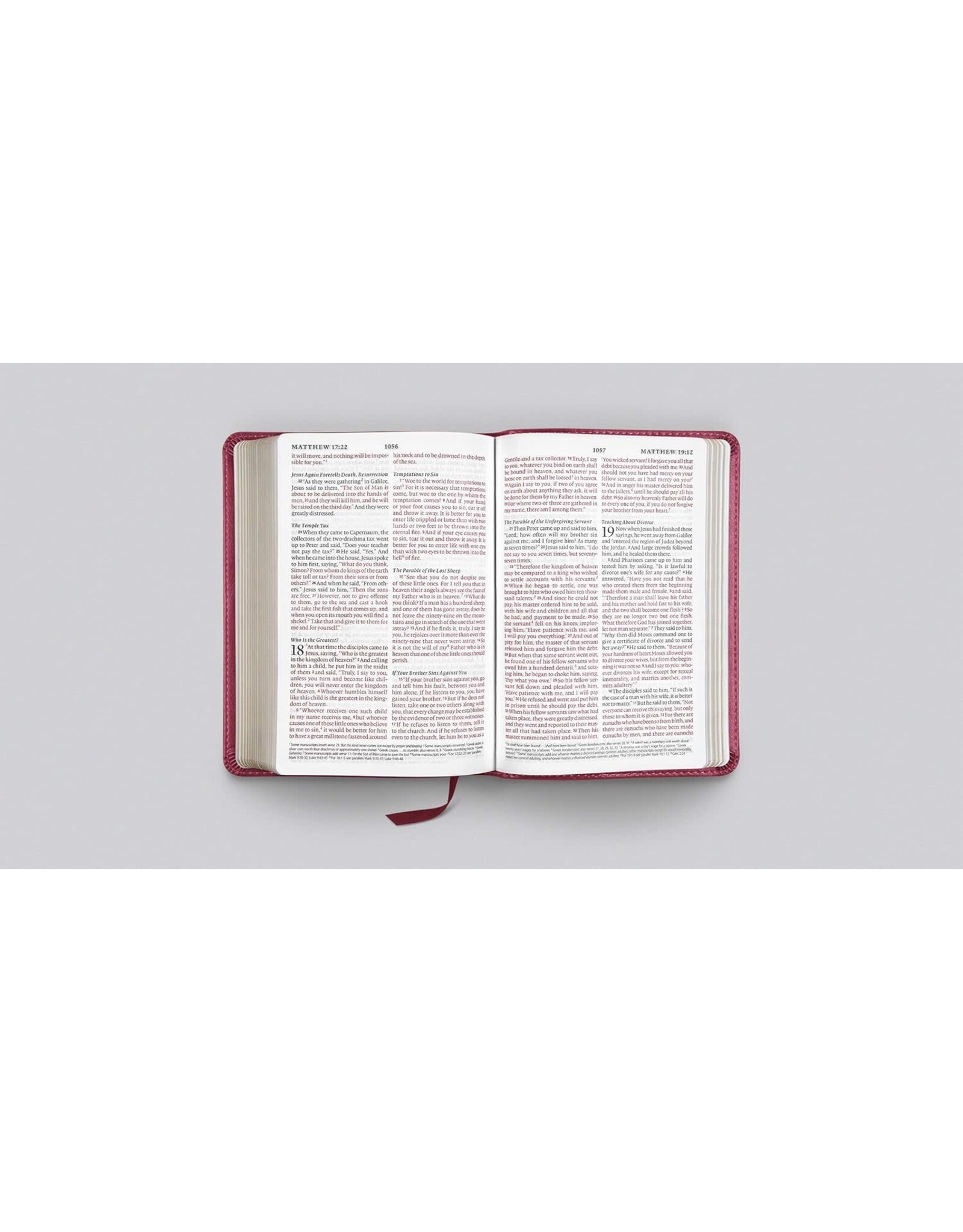 ESV Large Print Compact Bible - Berry