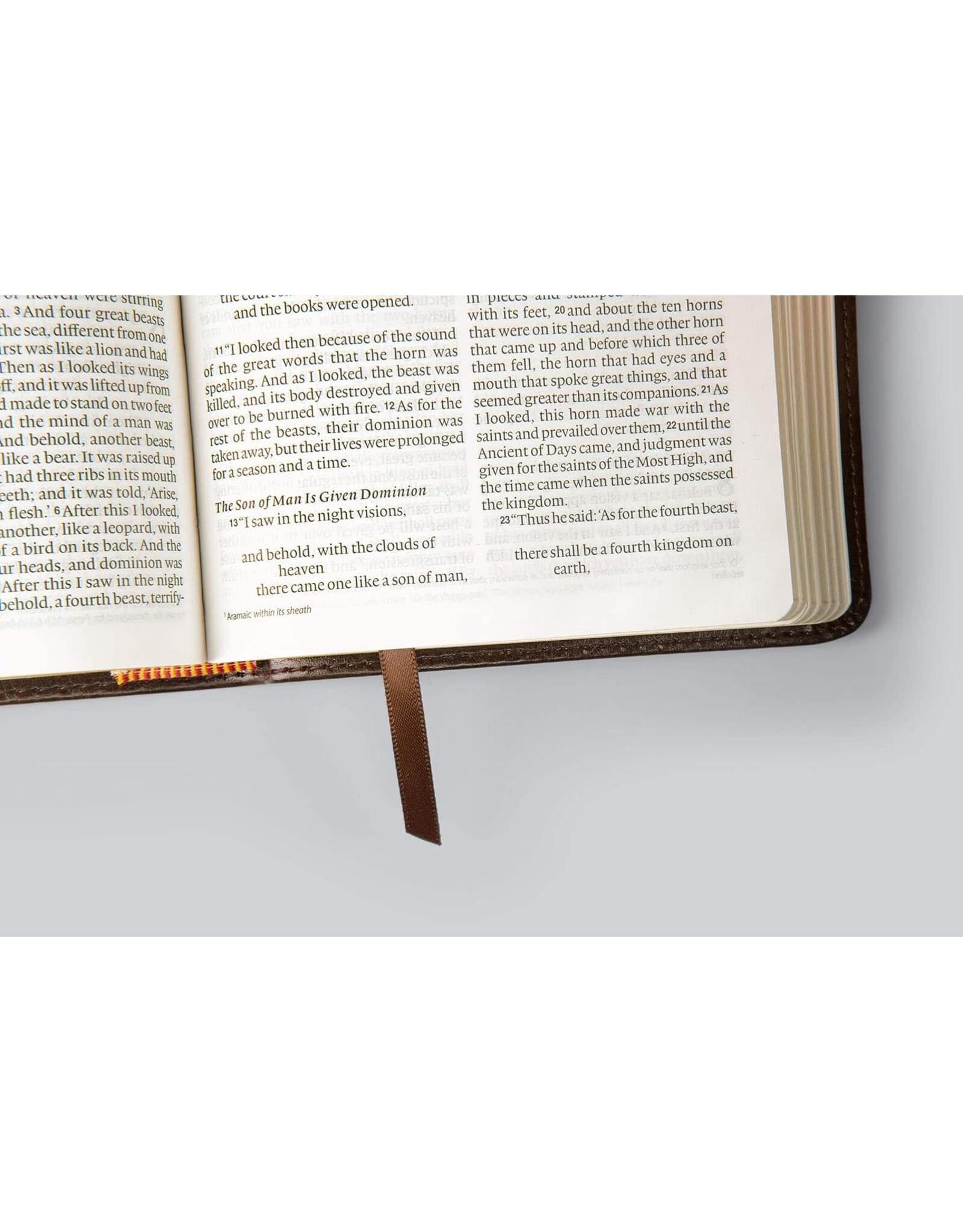 ESV Large Print Compact Bible : Brown, Mosaic