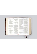 ESV Large Print Compact Bible : Brown, Mosaic ESV Large Print Compact Bible : Brown, Mosaic