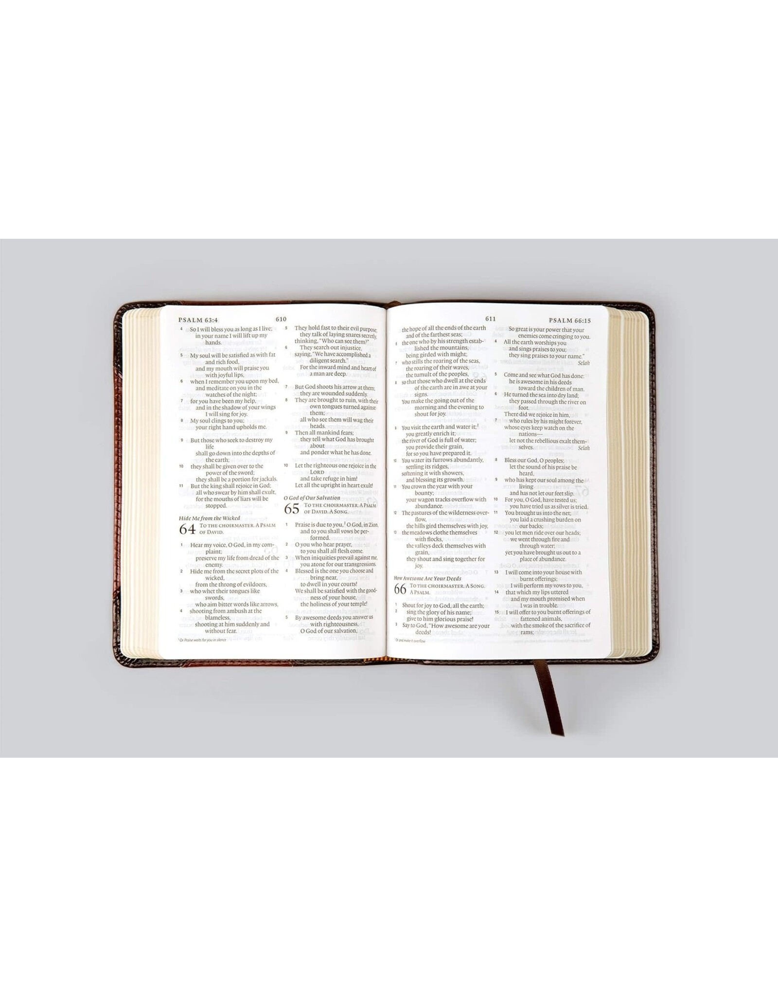 ESV Large Print Compact Bible : Brown, Mosaic