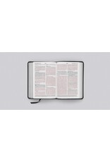 ESV Large Print Compact Bible: Charcoal