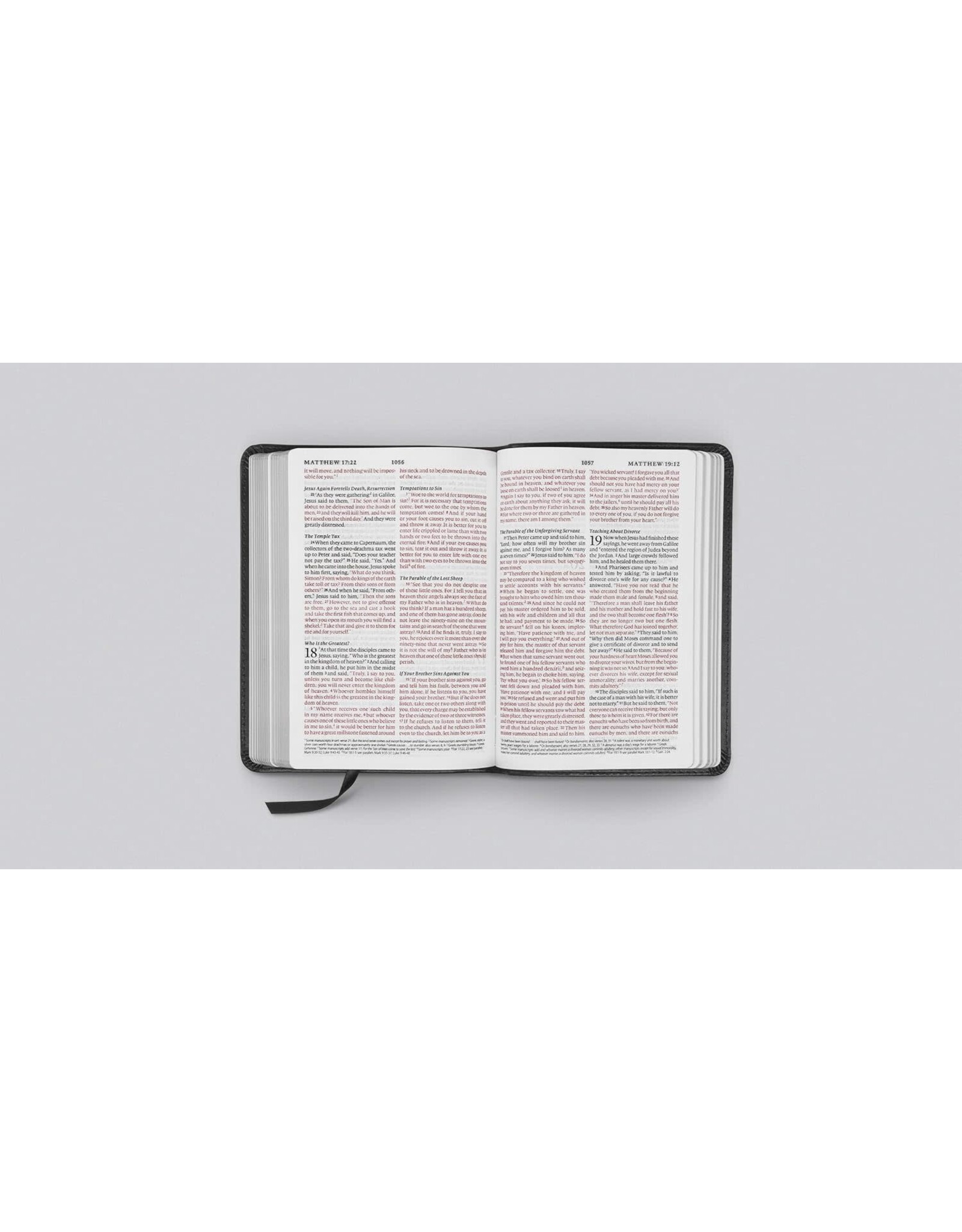 ESV Large Print Compact Bible: Charcoal