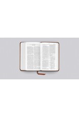 ESV Pocket Bible TT Chestnut