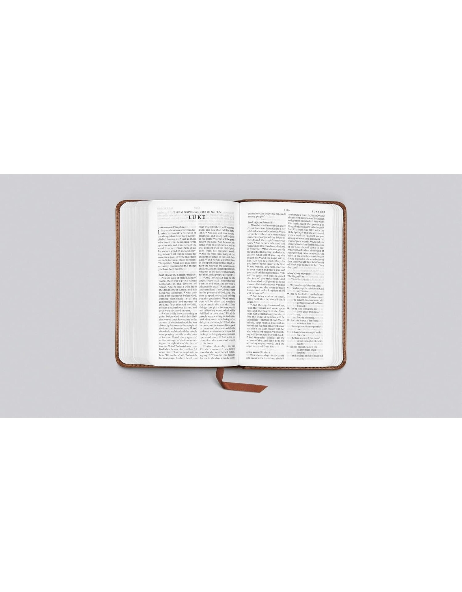 ESV Pocket Bible TT Chestnut