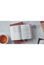 ESV Large Print Compact Bible - Blush Rose