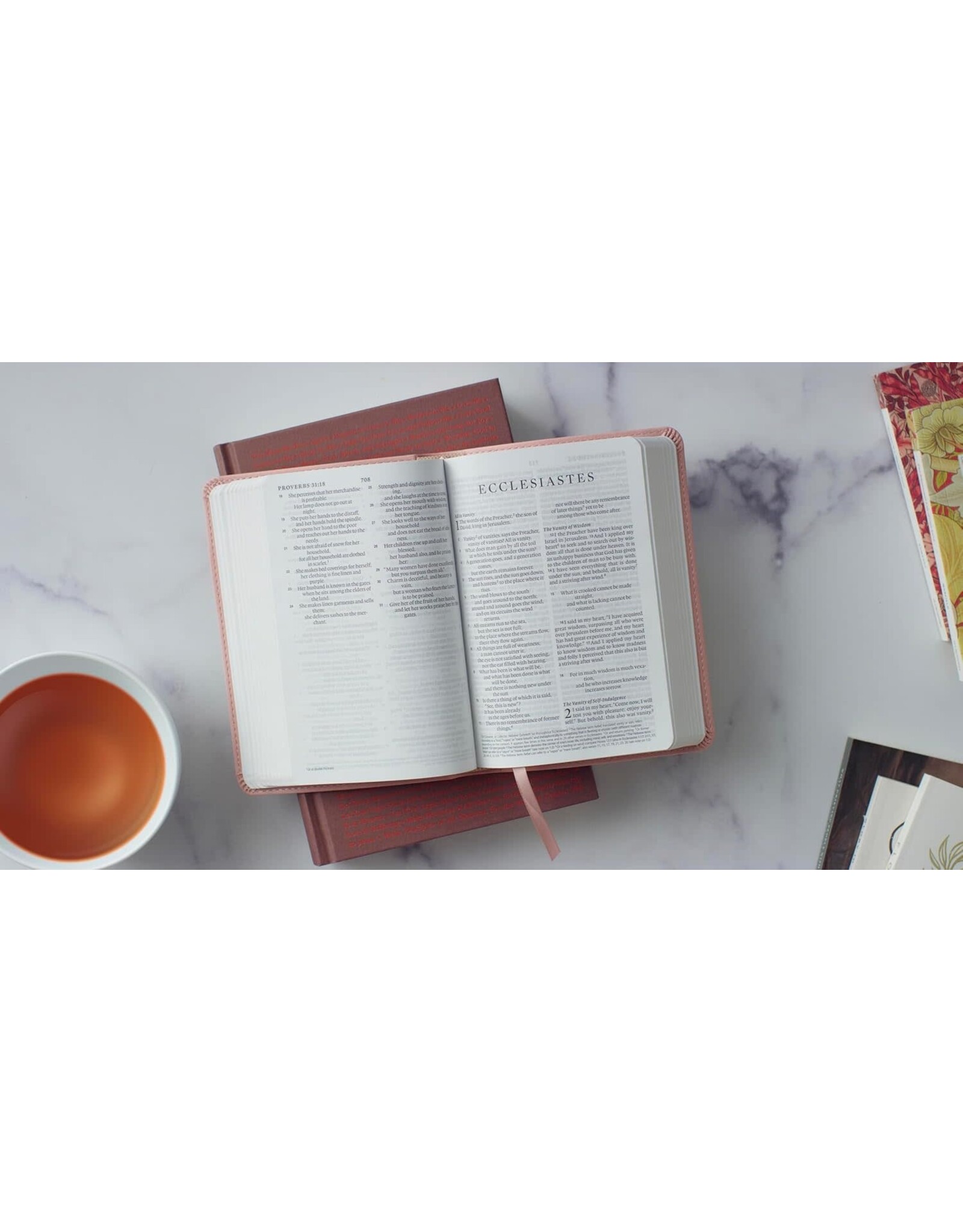 ESV Large Print Compact Bible - Blush Rose