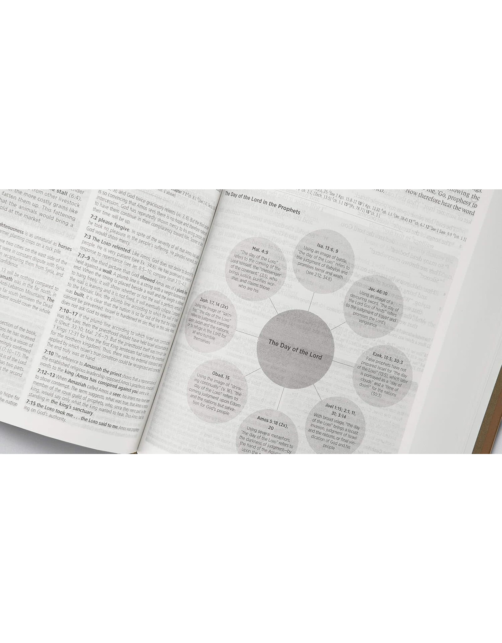 ESV Global Study Bible Hardcover