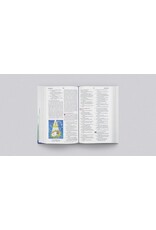 David R Helm & Gail Schoolmaker ESV Big Picture Bible