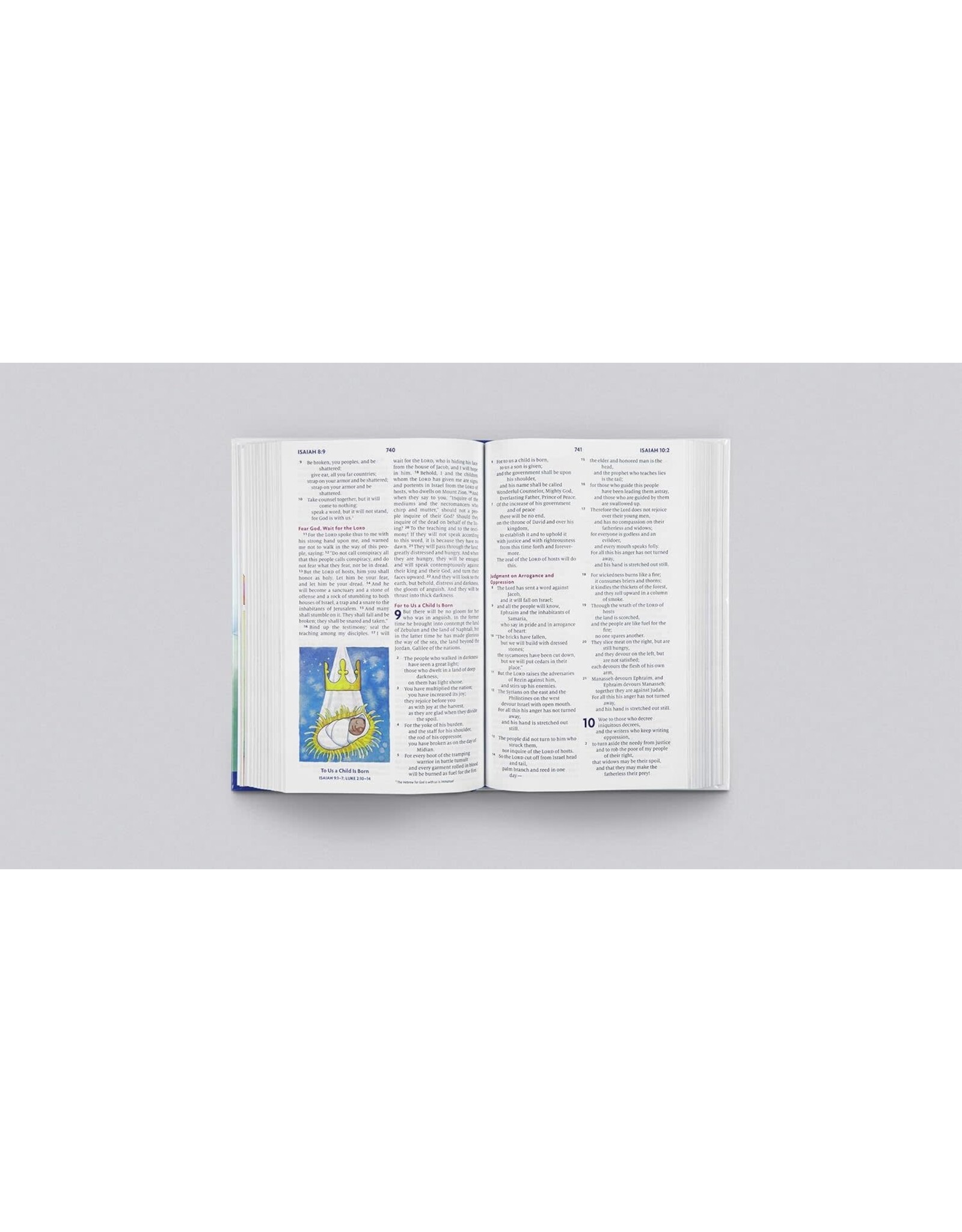 David R Helm & Gail Schoolmaker ESV Big Picture Bible