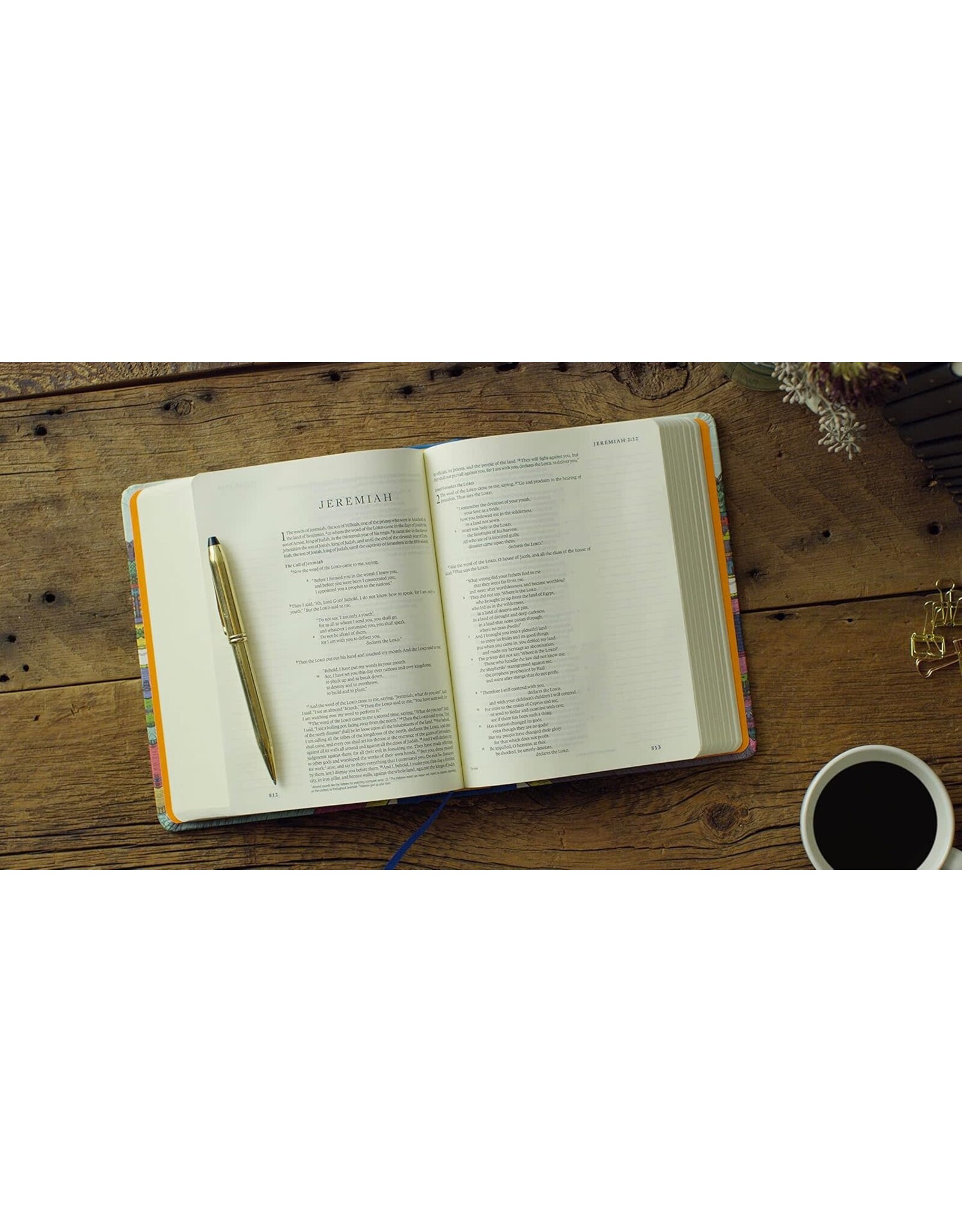 ESV Single Column Journaling Bible Artist Series - Hugo Pineda