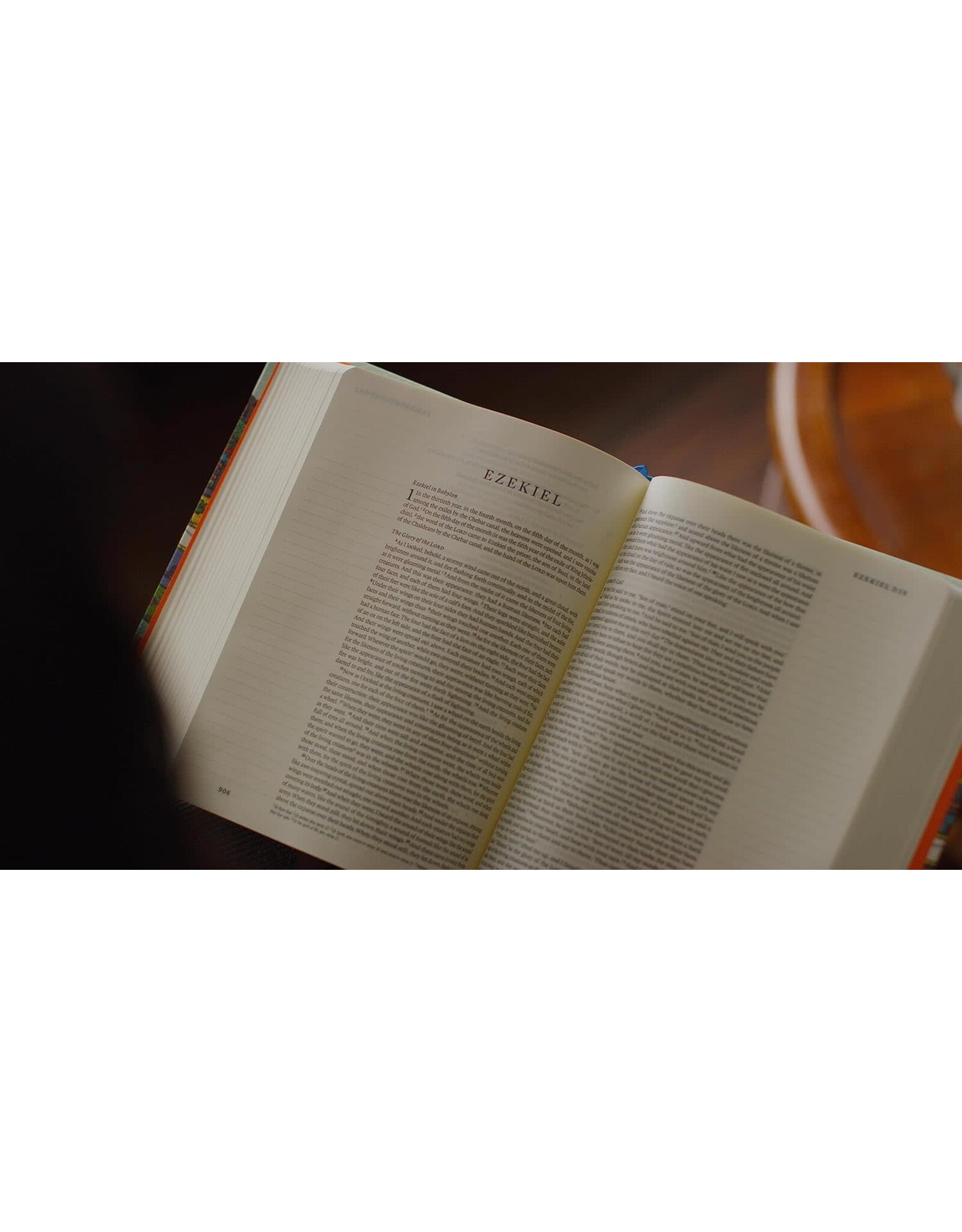 ESV Single Column Journaling Bible Artist Series - Hugo Pineda