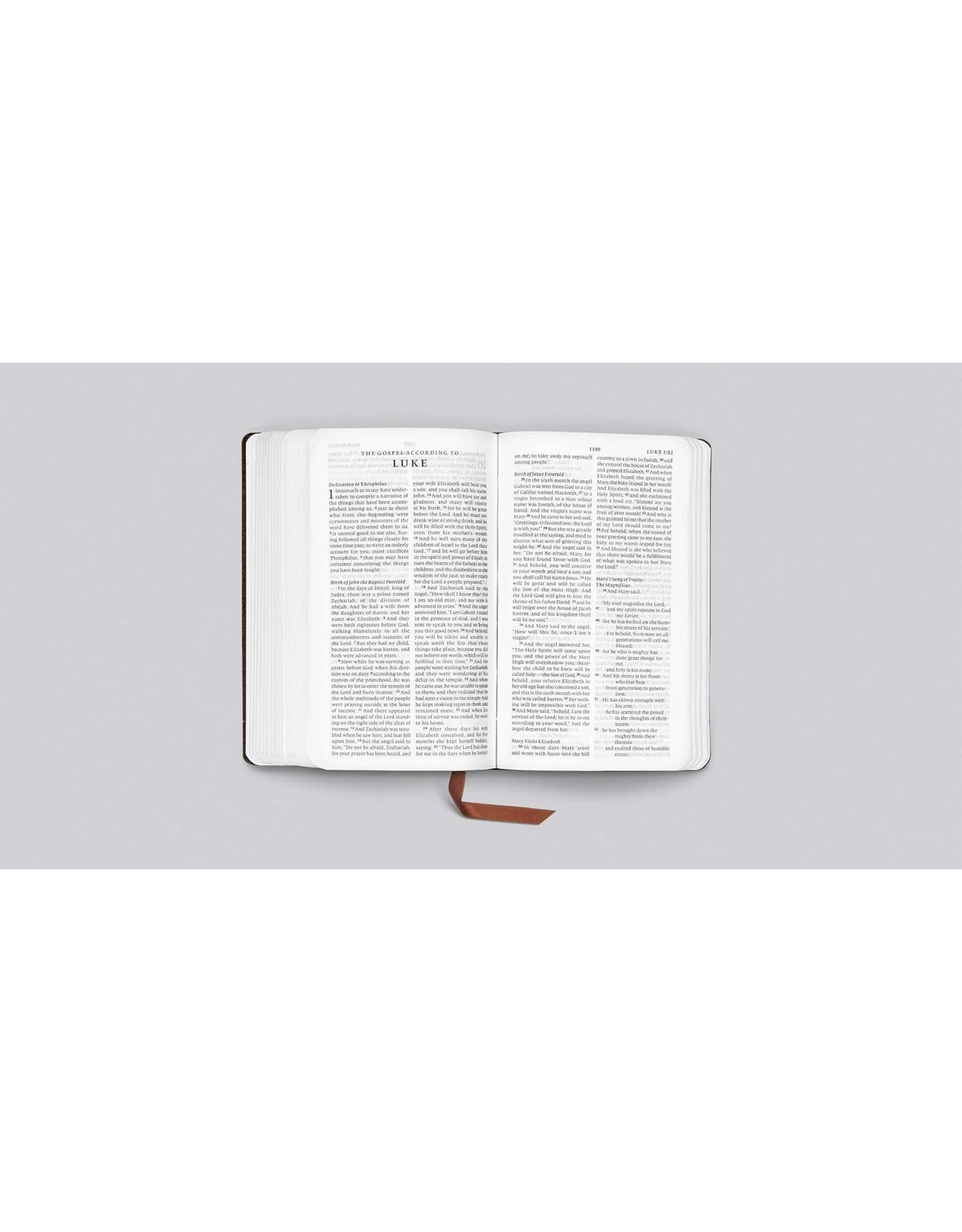 ESV Pocket Bible Buffalo Leather