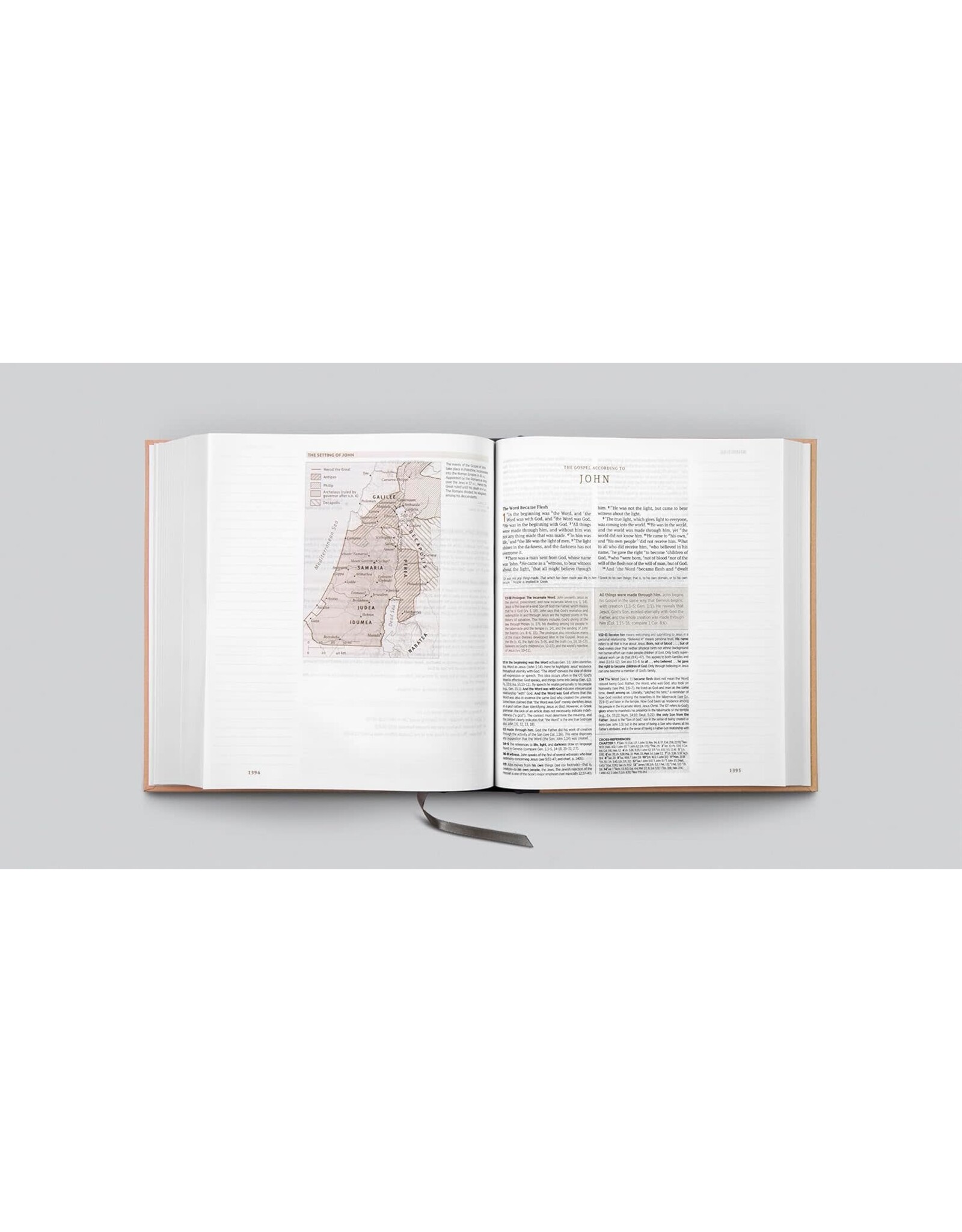 ESV Journaling Study Bible - Cloth/Blush/Ochre Floral