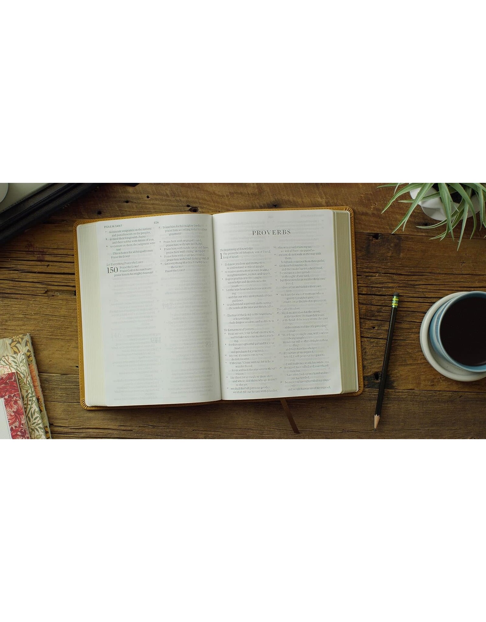 ESV Large Print Bible Nubuck Caramel