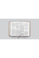 ESV Large Print Bible Nubuck Caramel