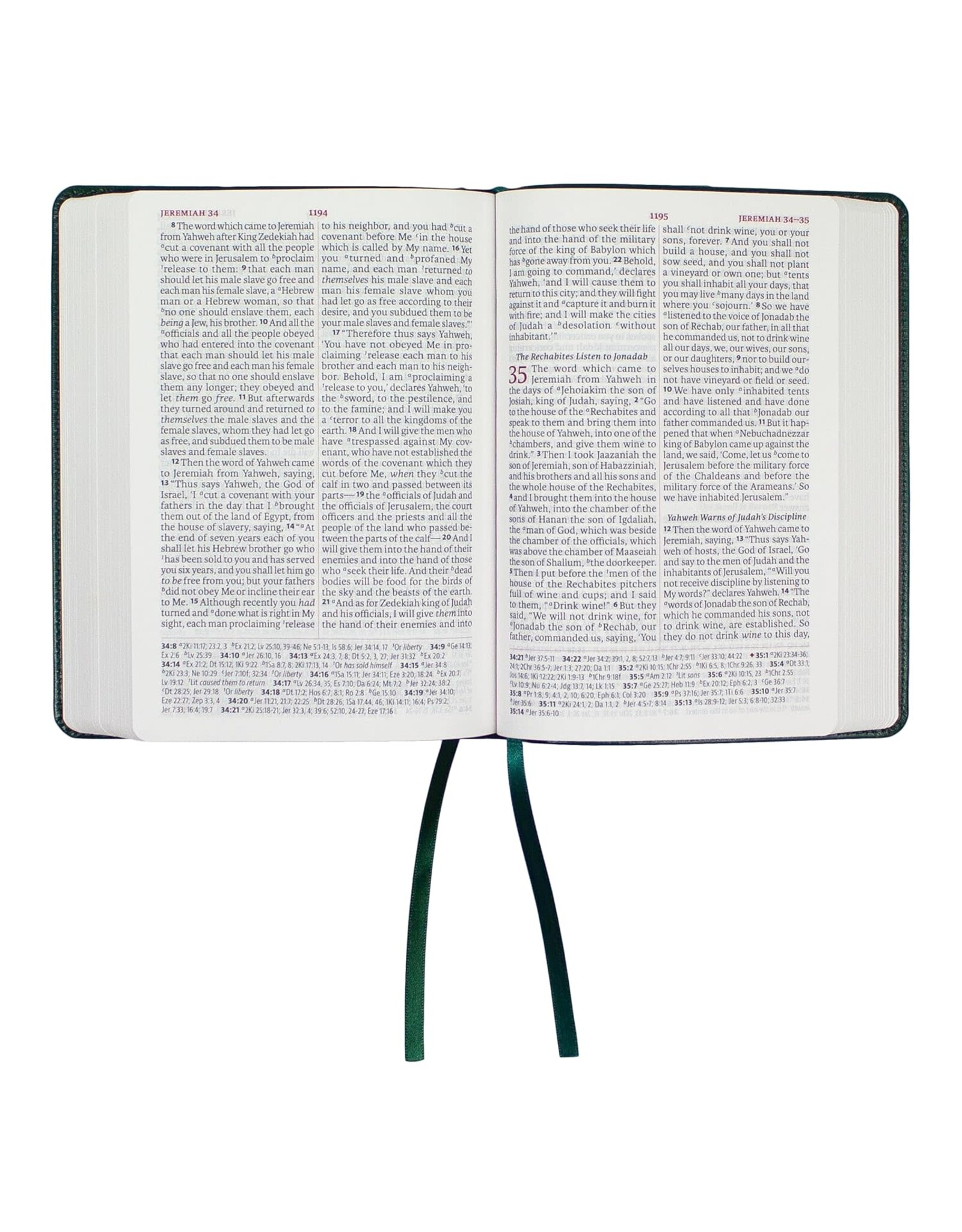 LSB Portable Paragraph Reference Bible - Green Faux Trinity