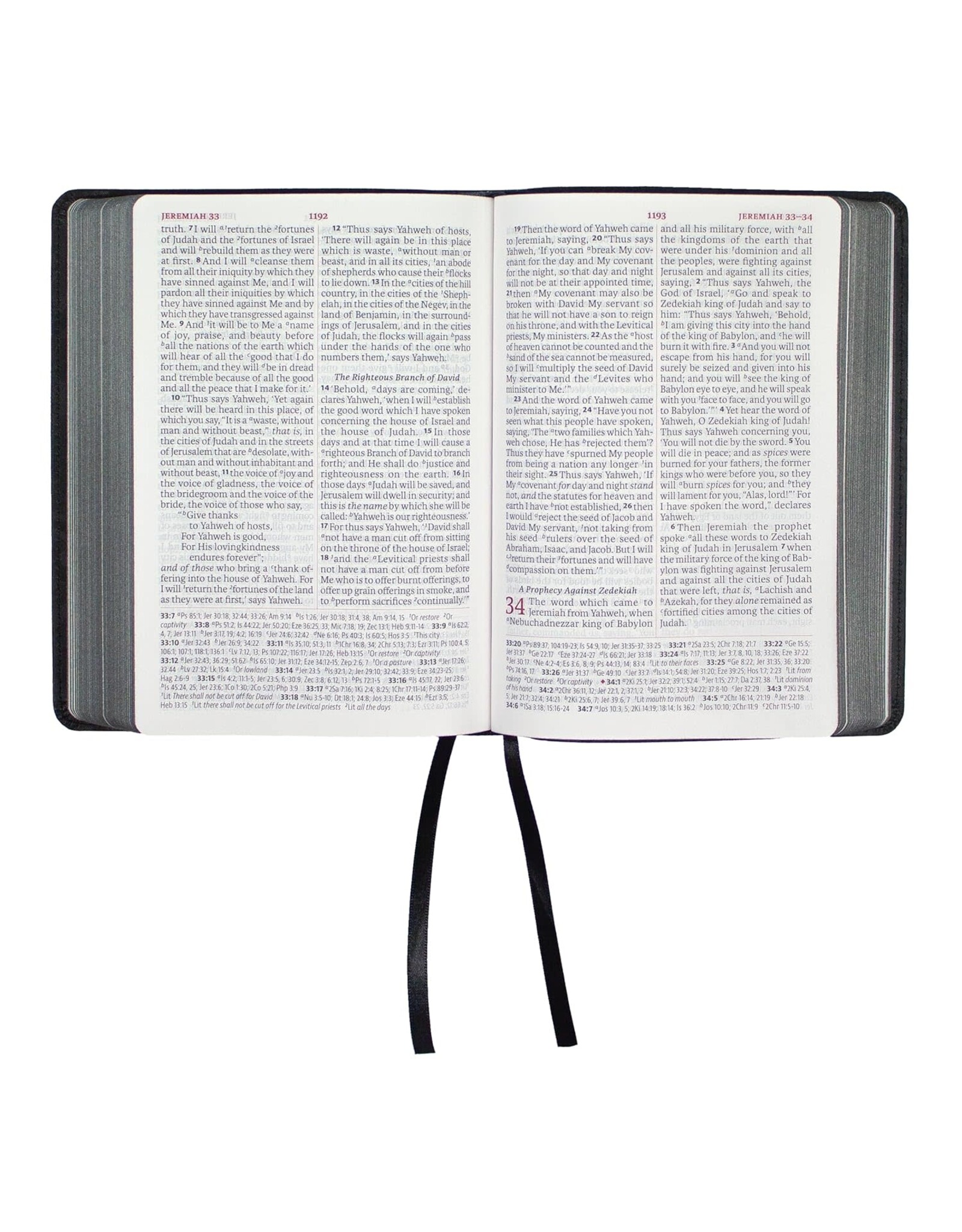 LSB Portable Paragraph Reference Bible - Midnight Cameo