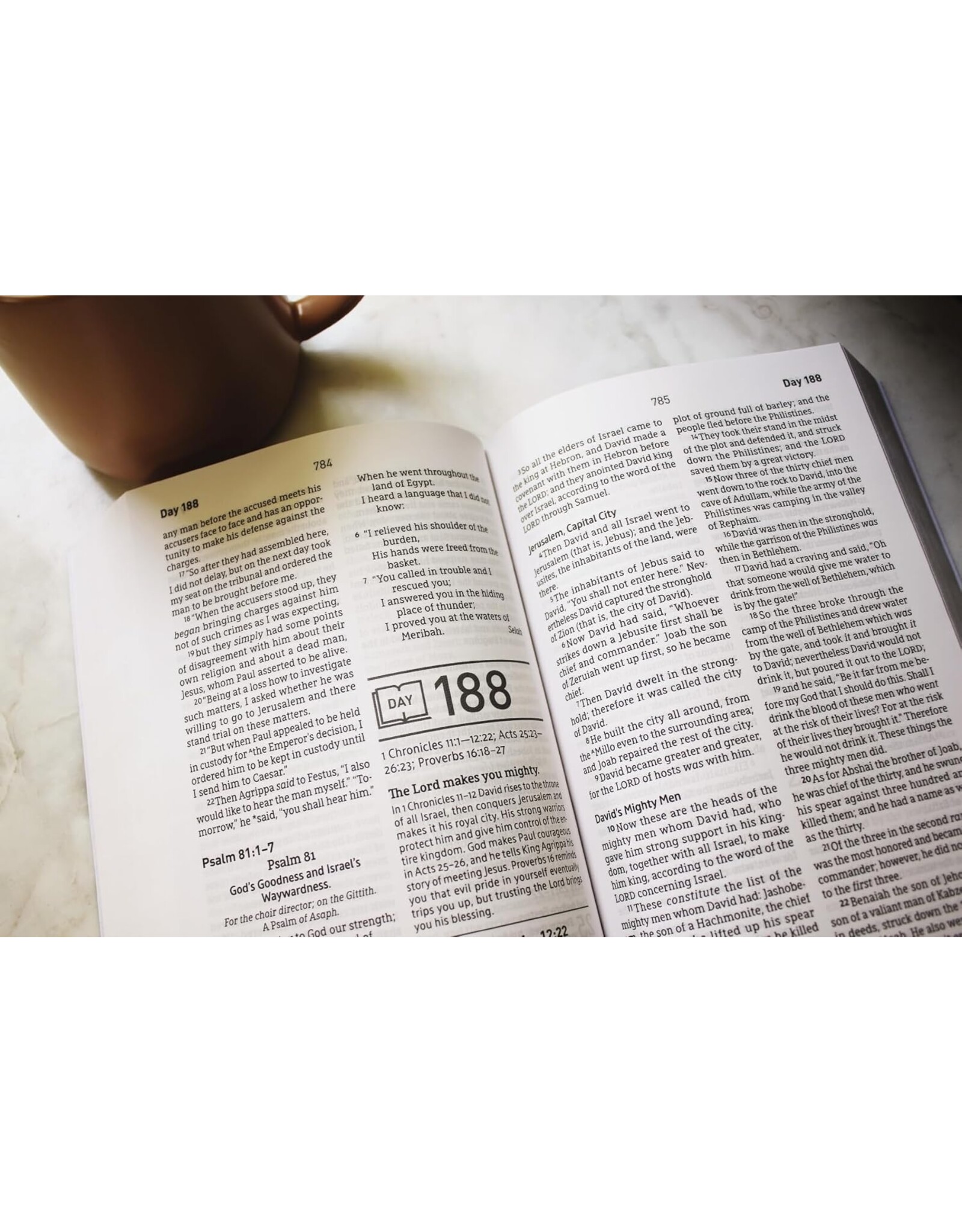NASB Daily Scripture, Paperback, 1995 Text