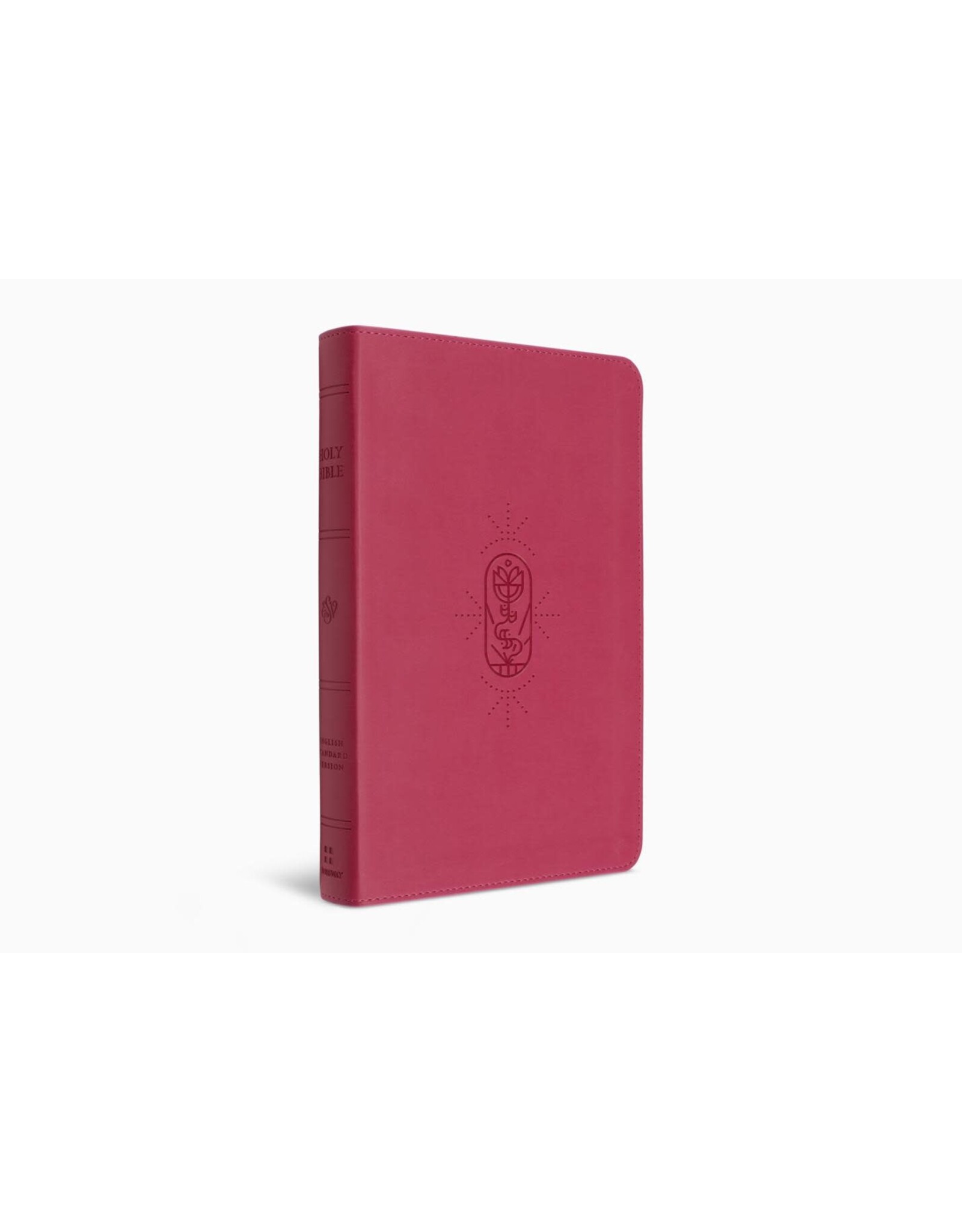 ESV Kid's Bible, Thinline, Berry