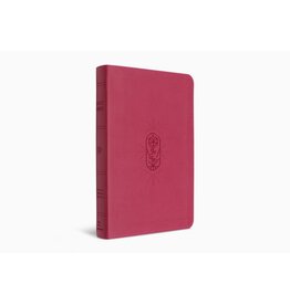 ESV Kid's Bible, Thinline, Berry