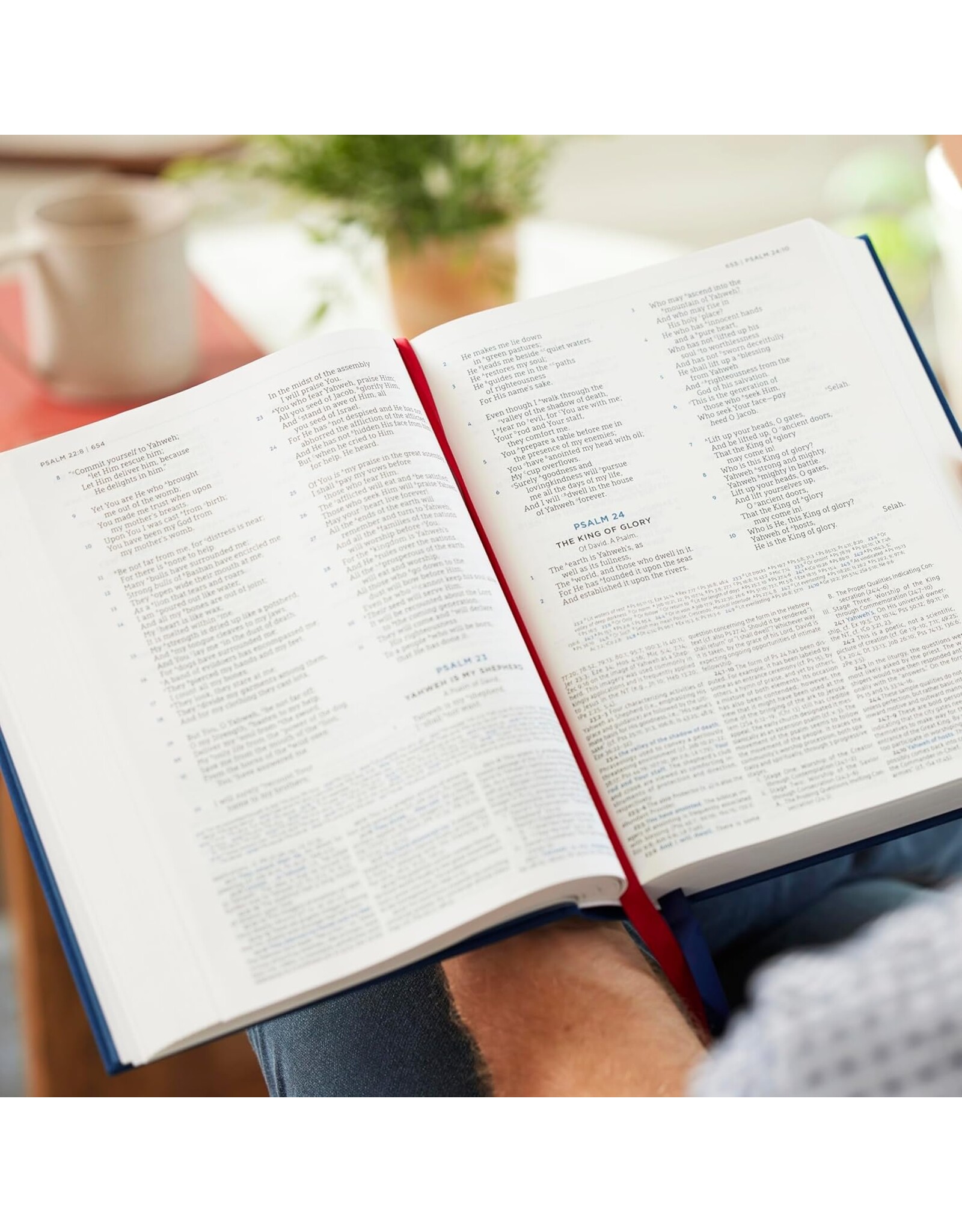 John MacArthur LSB John MacArthur Study Bible Brown Leathersoft