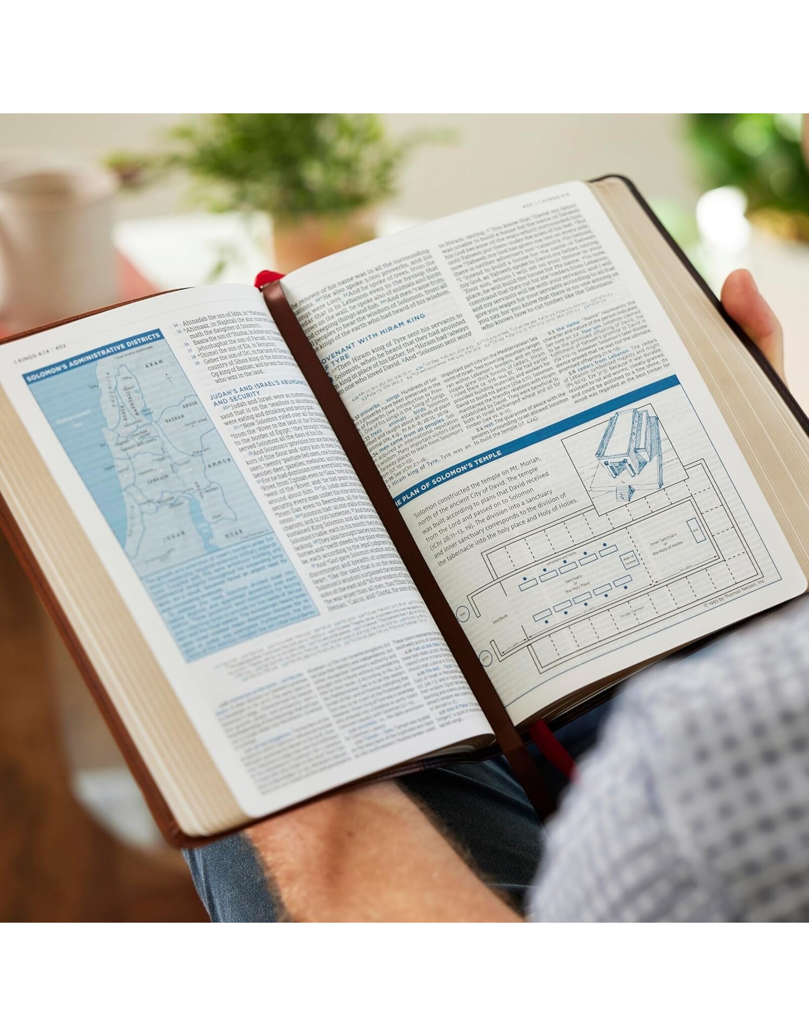 John MacArthur LSB John MacArthur Study Bible Brown Leathersoft