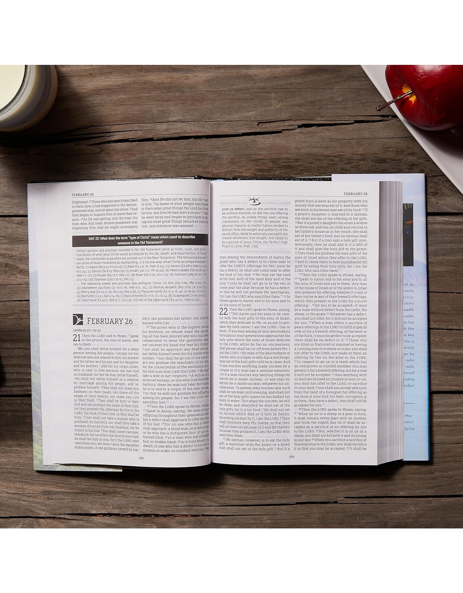 John MacArthur NASB MacArthur Daily Bible Paperback