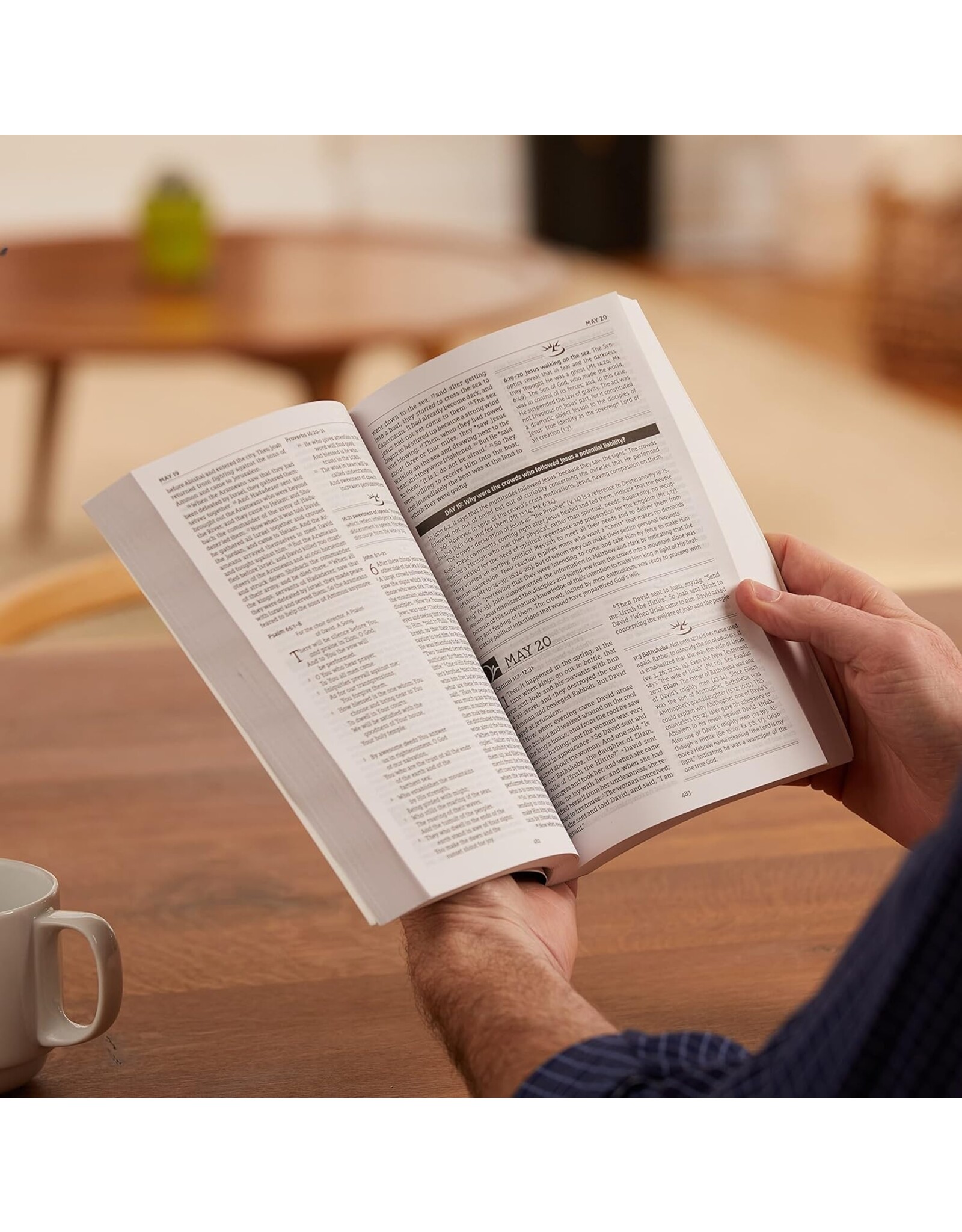 John MacArthur NASB MacArthur Daily Bible Paperback