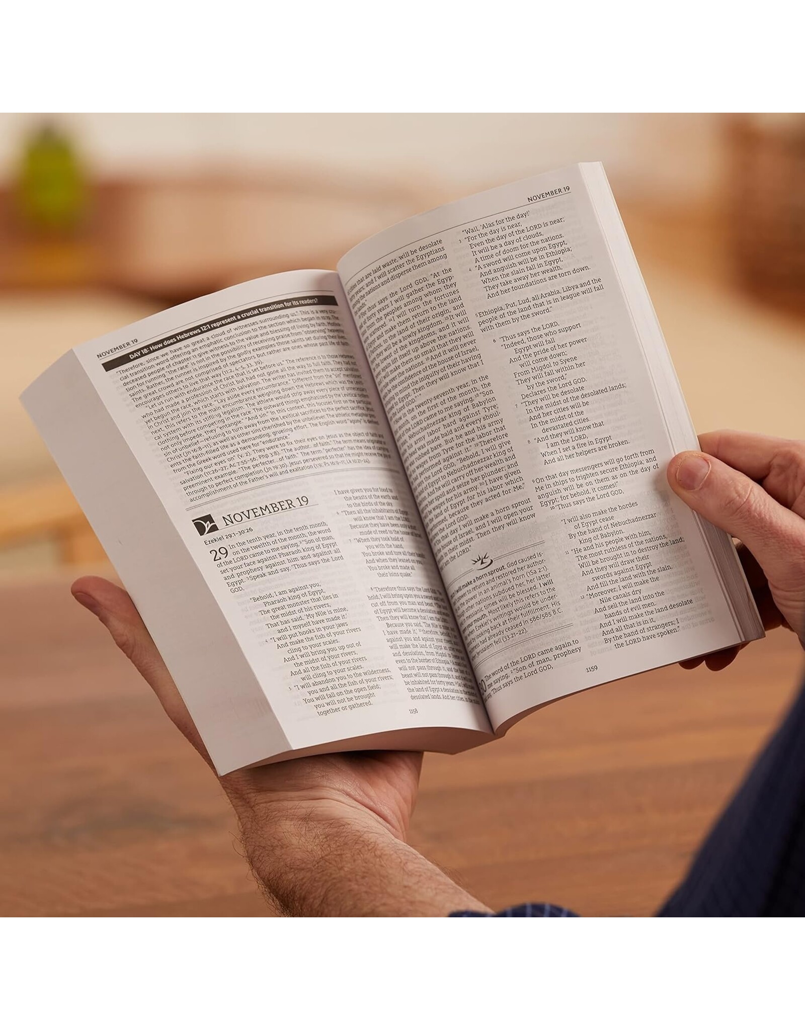 John MacArthur NASB MacArthur Daily Bible Hardcover