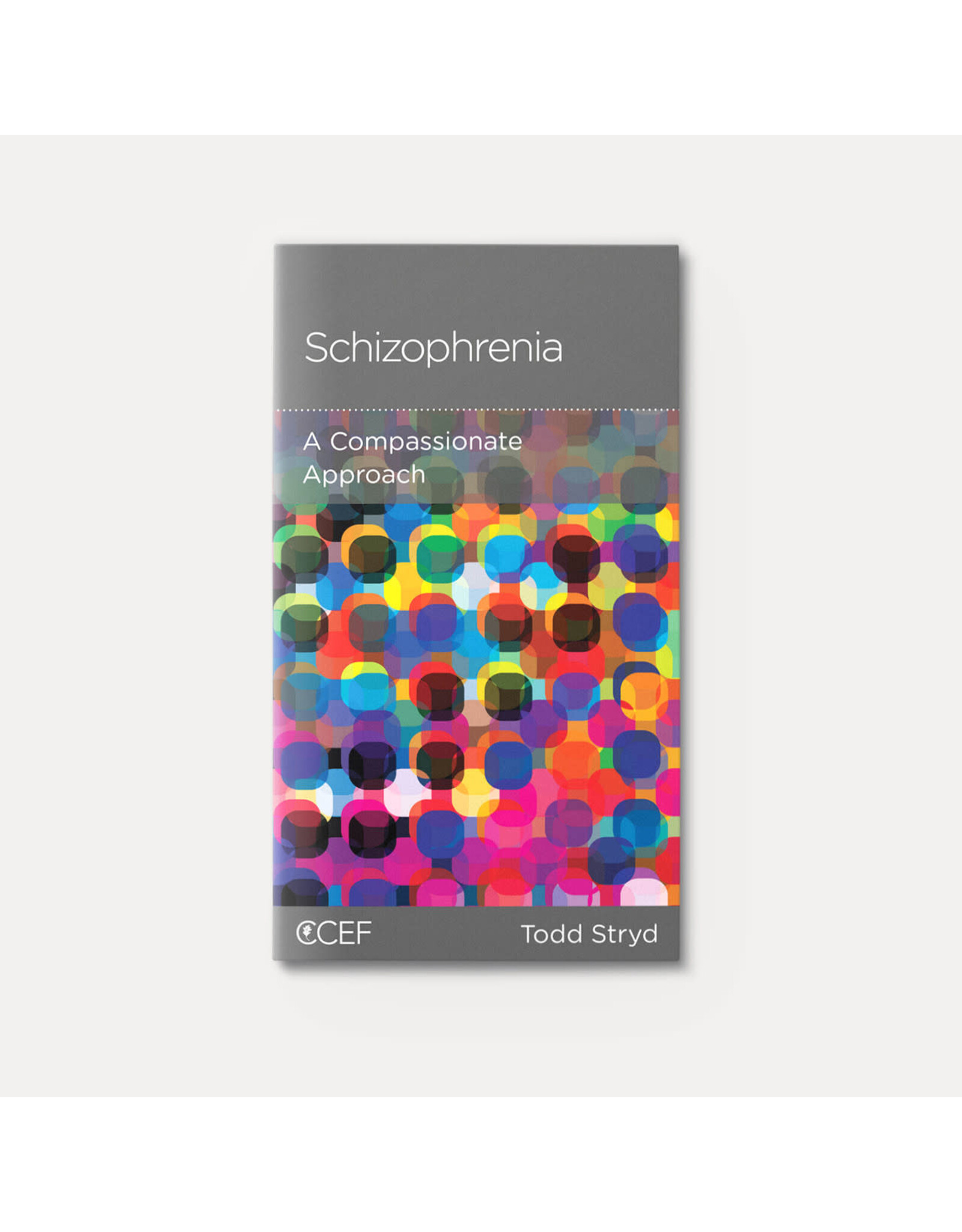 Todd Stryd Schizophrenia: A Compassionate Approach