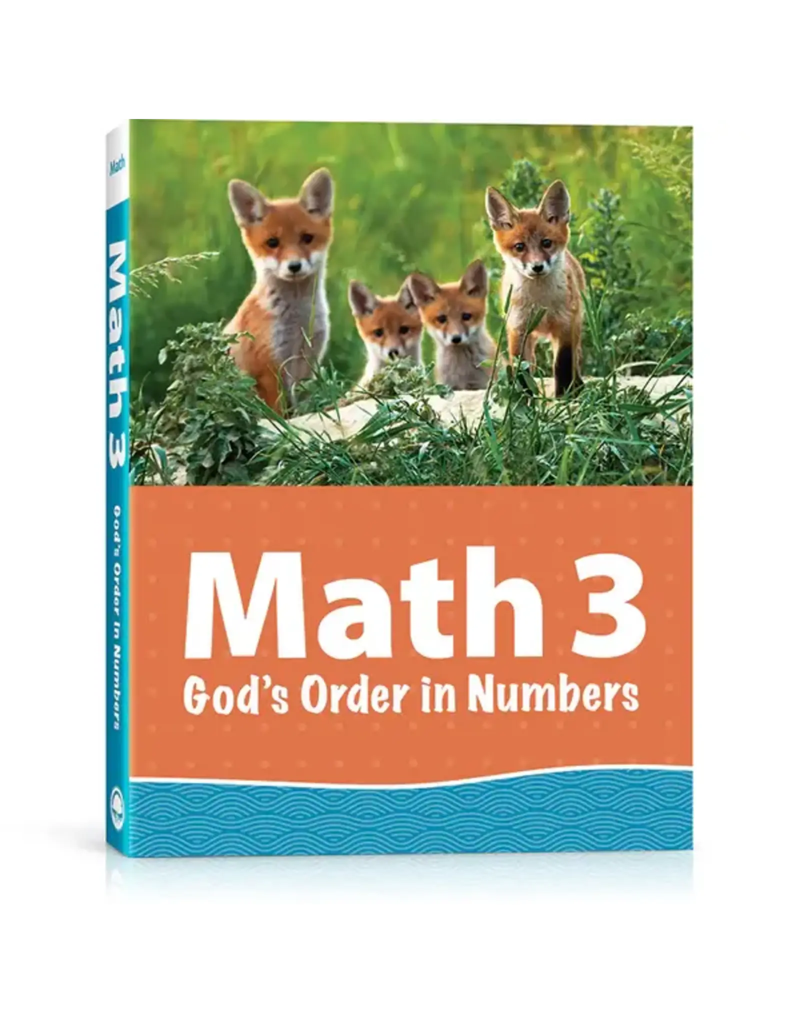 Math 3 Workbook