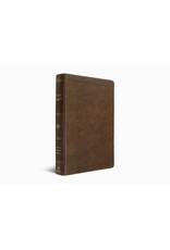 ESV Holy Bible: Dyslexia-Friendly Edition - Brown