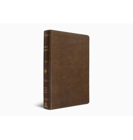 ESV Holy Bible: Dyslexia-Friendly Edition - Brown