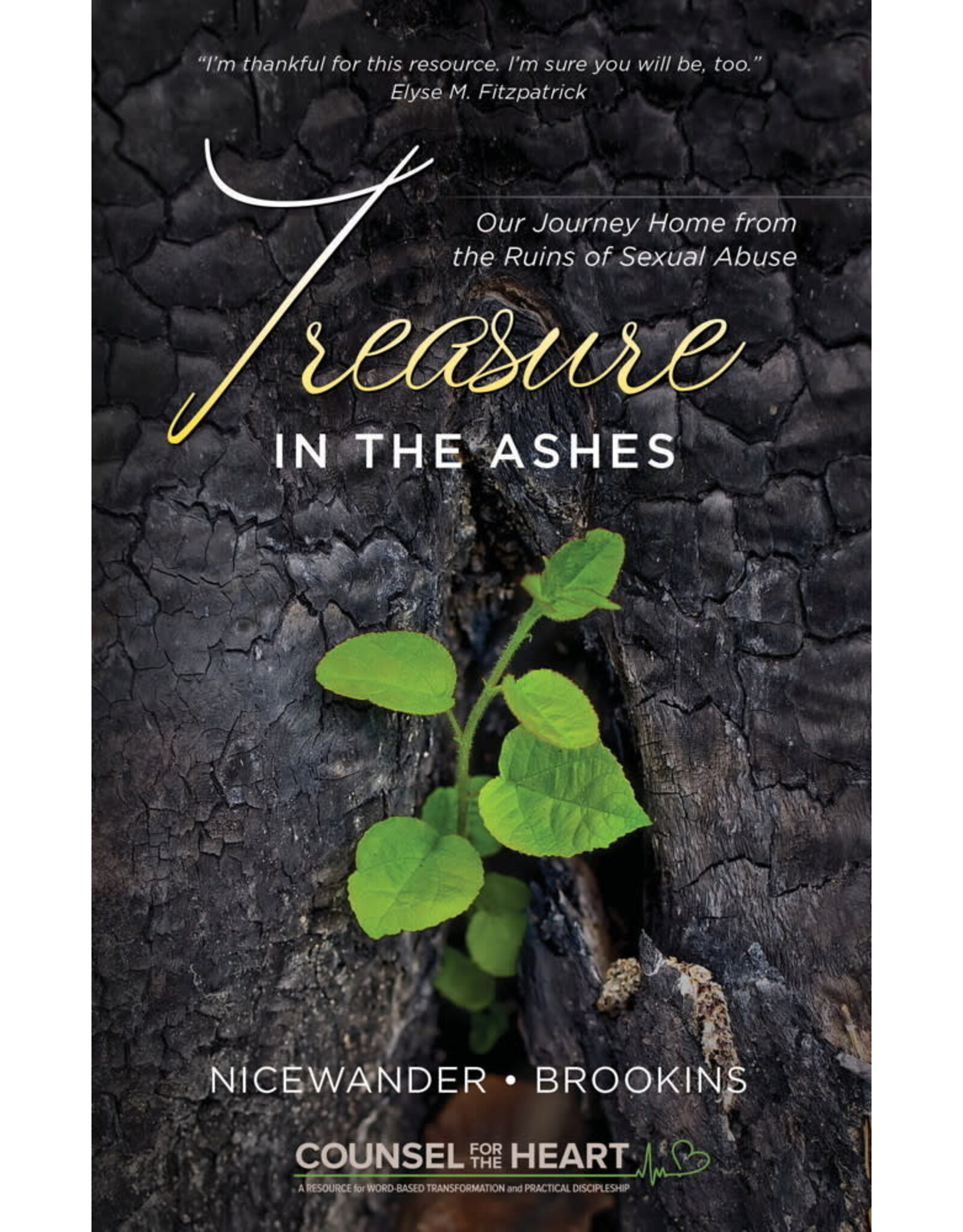 Sue Nicewander, Maria Brookins Treasure in the Ashes