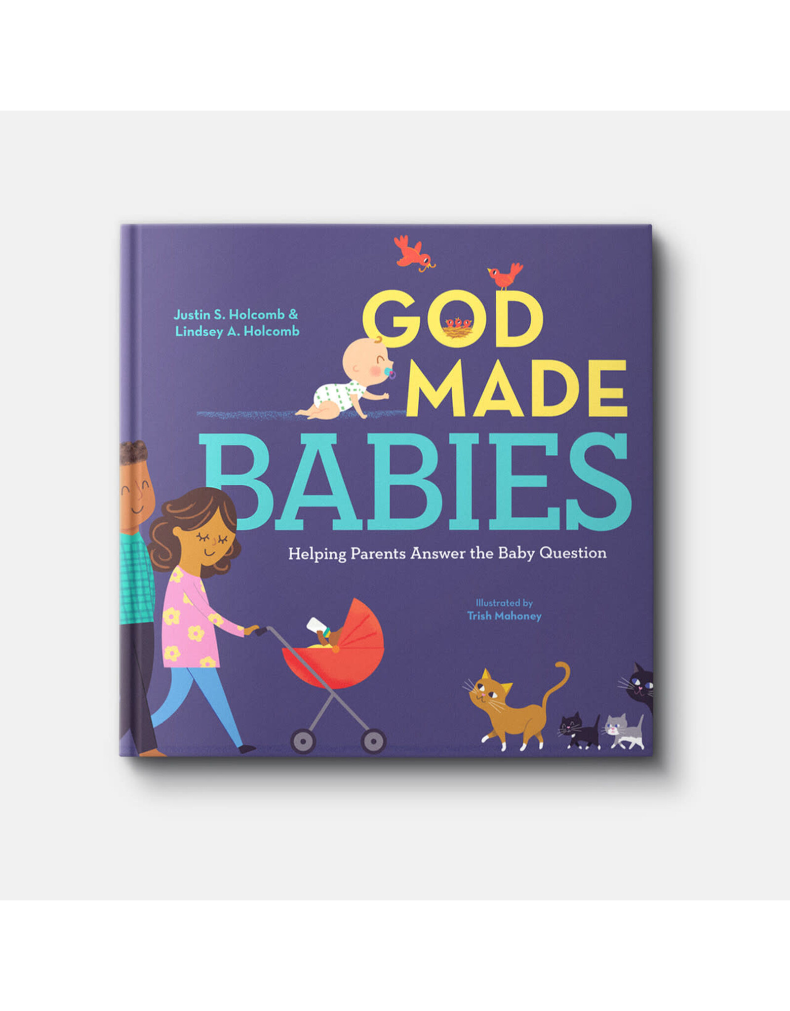 Justin S. Holcomb God Made Babies
