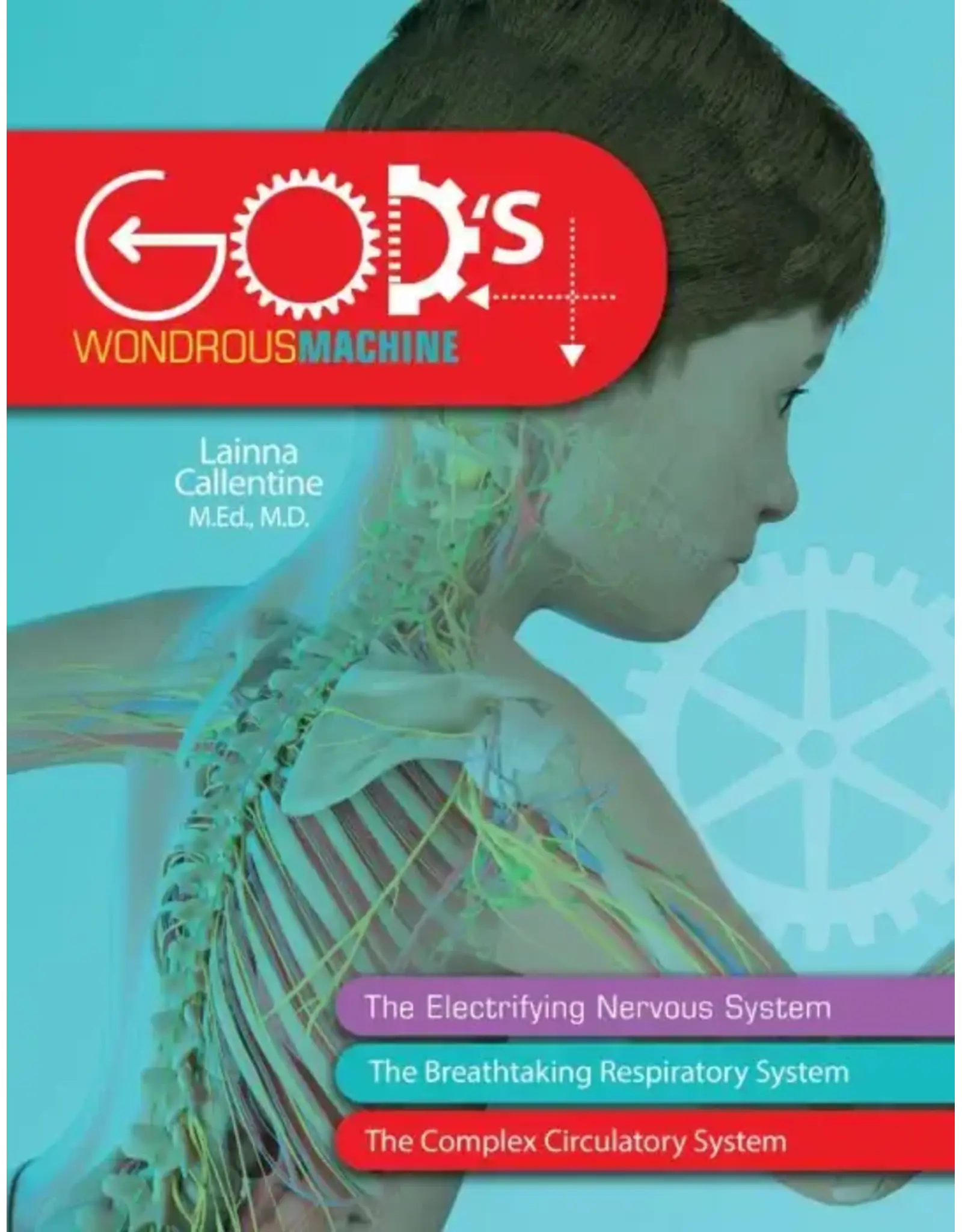 God's Wondrous Machine