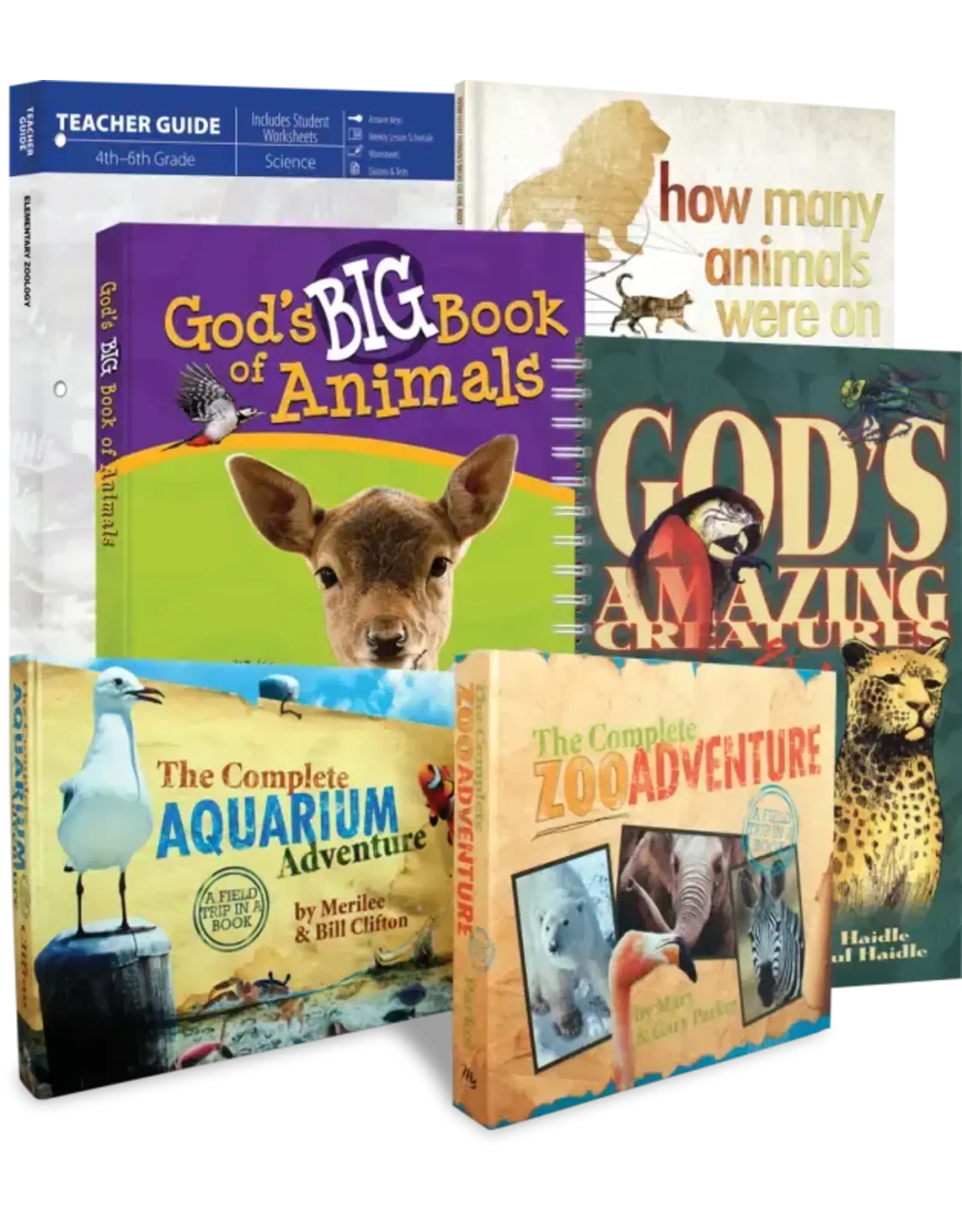 Elementary Zoology (Revised - Curriculum Pack)