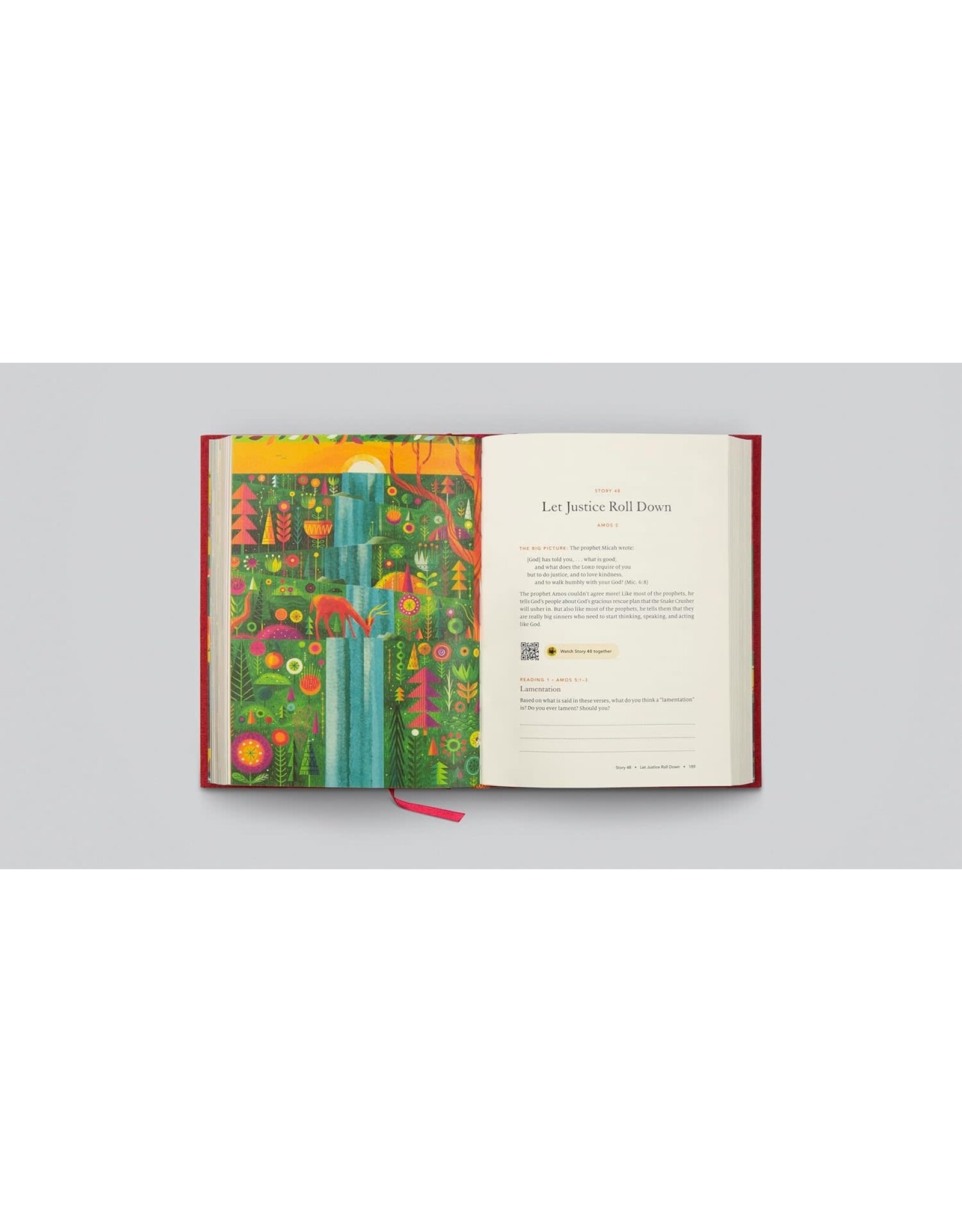 Douglas Sean O'Donnell The Biggest Story Family Devotional