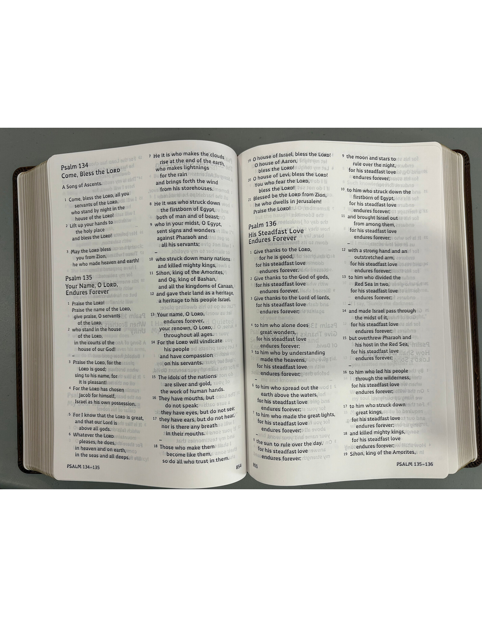 ESV Holy Bible: Dyslexia-Friendly Edition - Brown