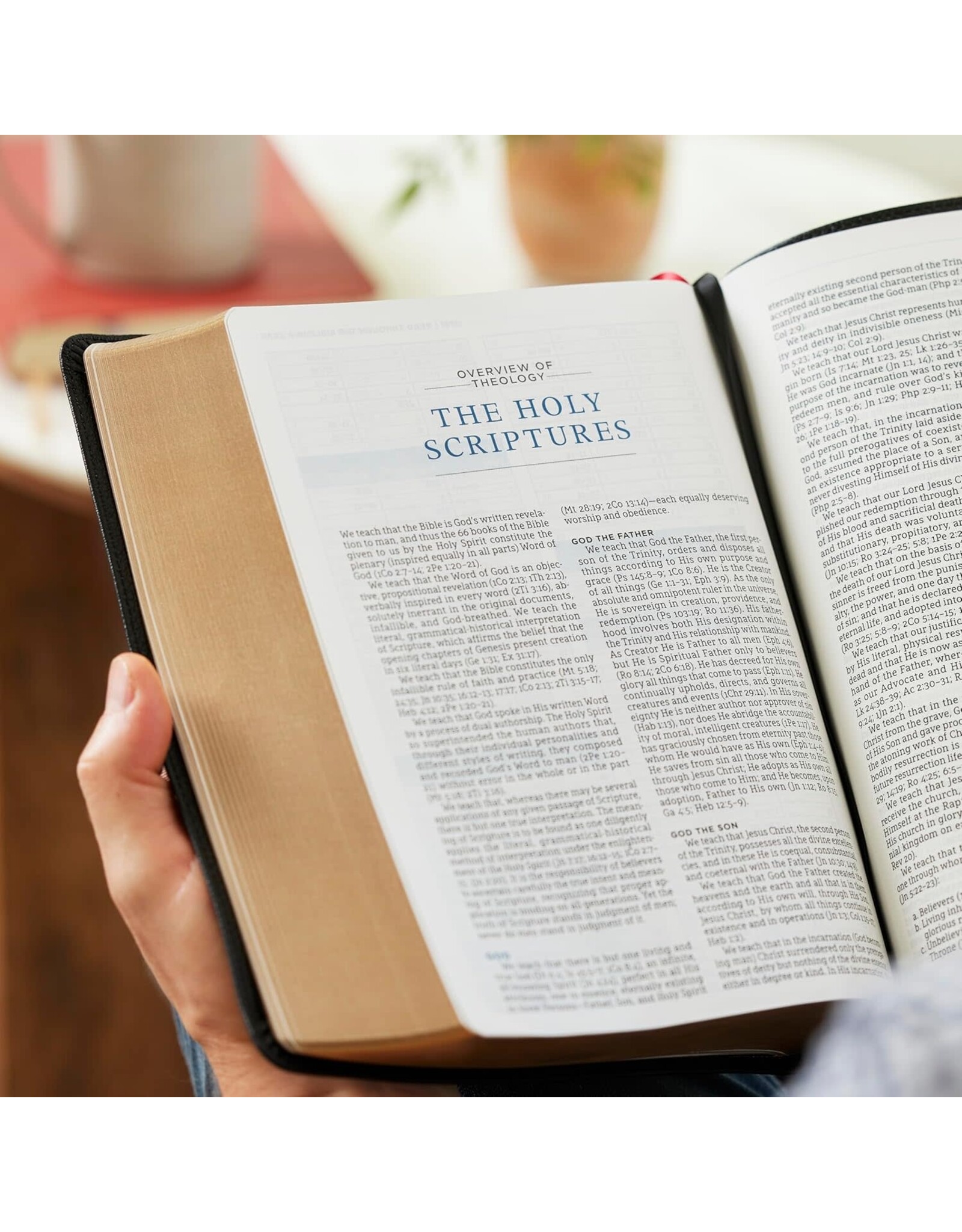 LSB MacArthur Study Bible, Goatskin Brown