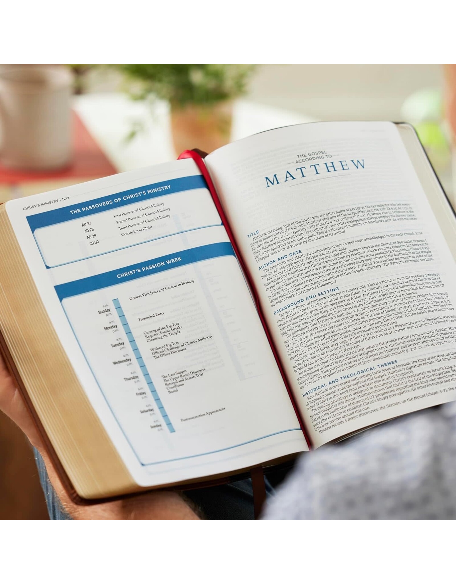 LSB MacArthur Study Bible, Goatskin Brown