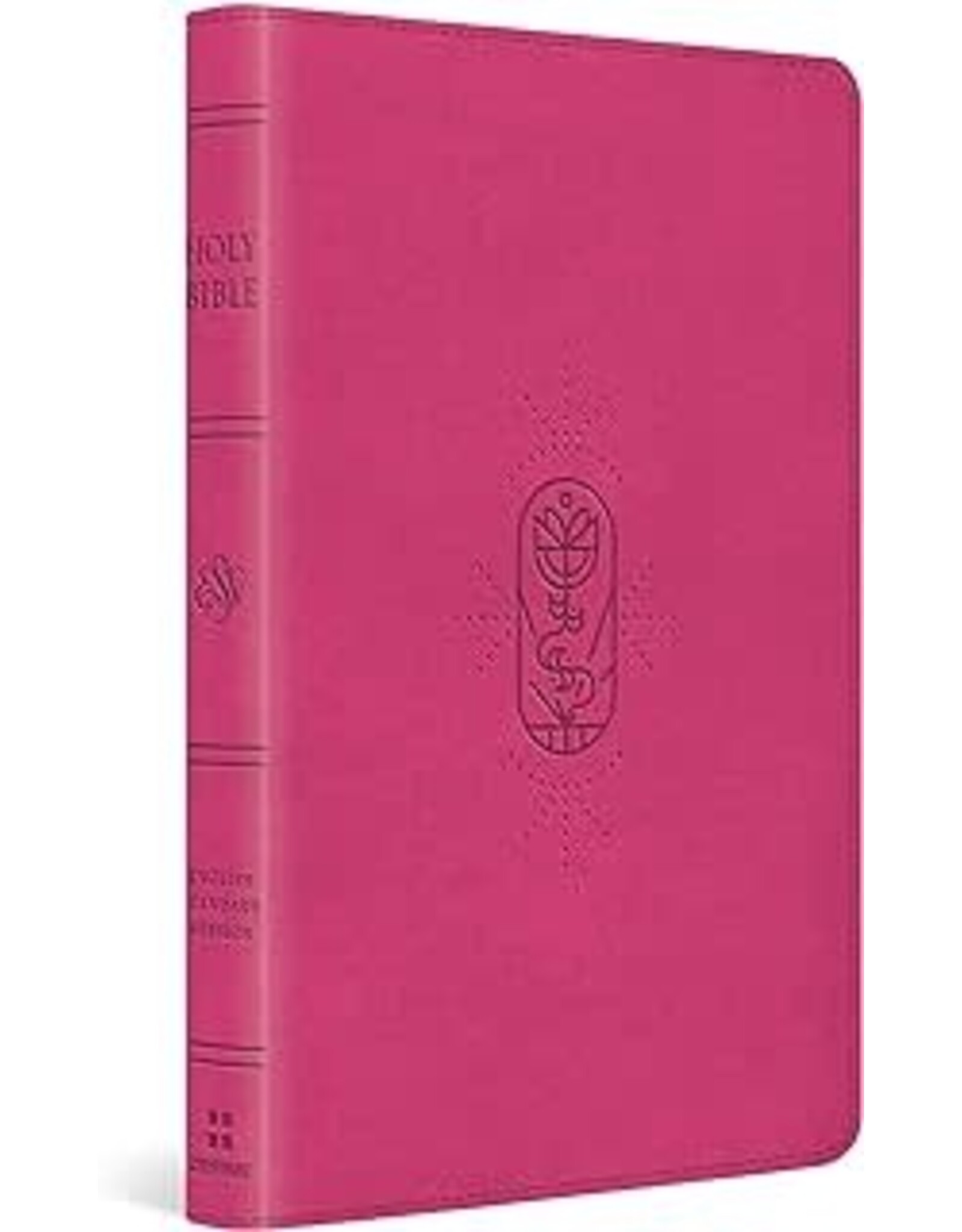 ESV Kid's Bible, Thinline, Berry