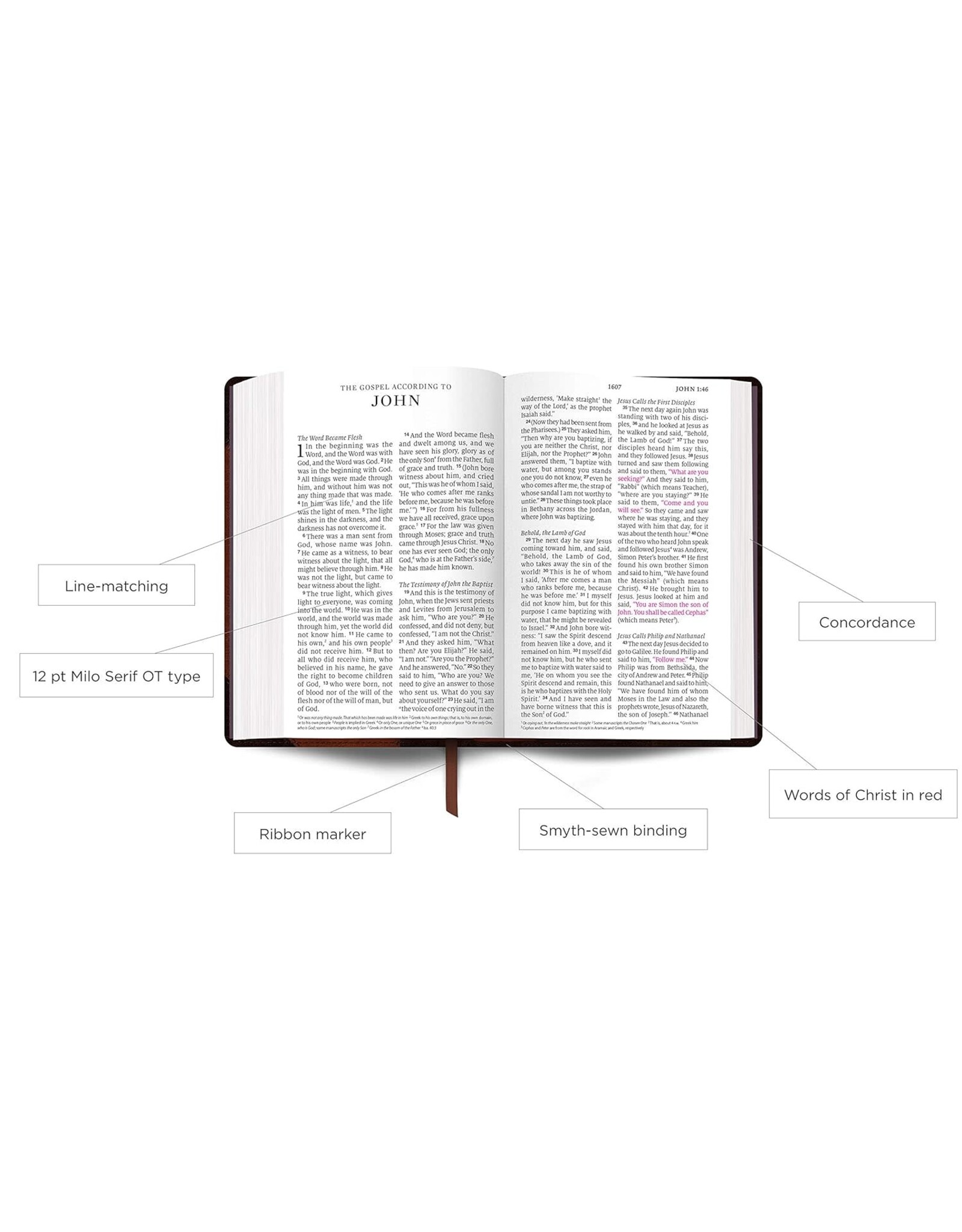 Crossway ESV Large Print Personal Size - Mahogany