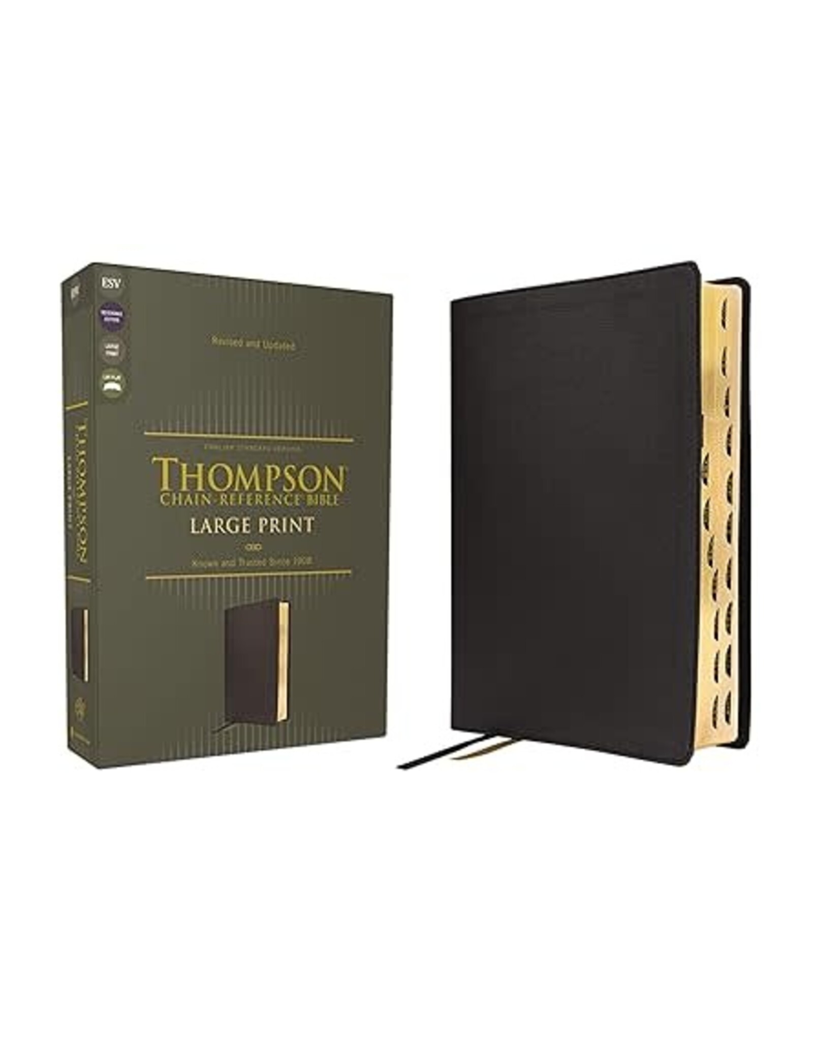 ESV Thompson Chain Reference Bible, LP Indexed
